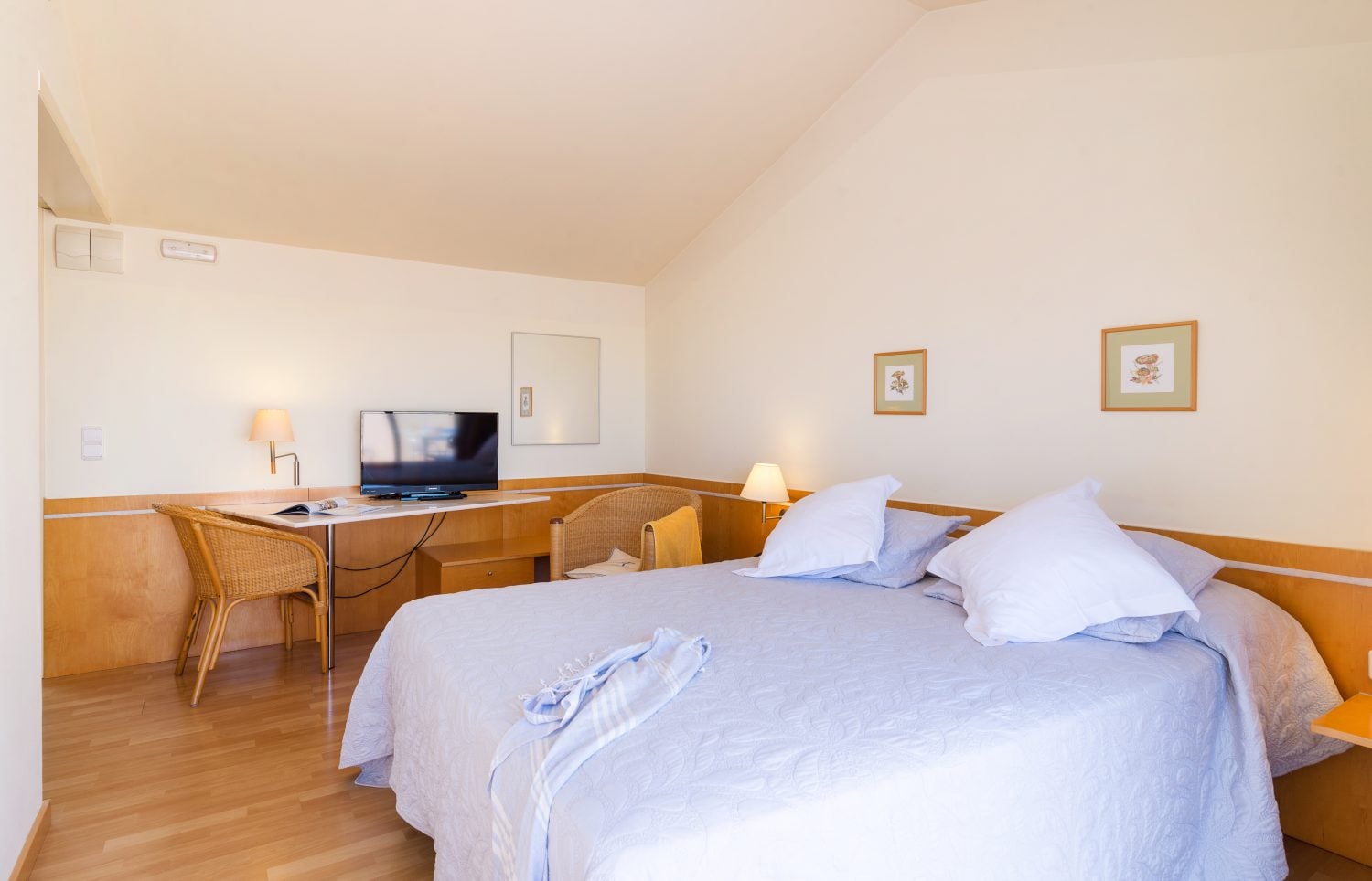 Double or Twin Superior with Terrace