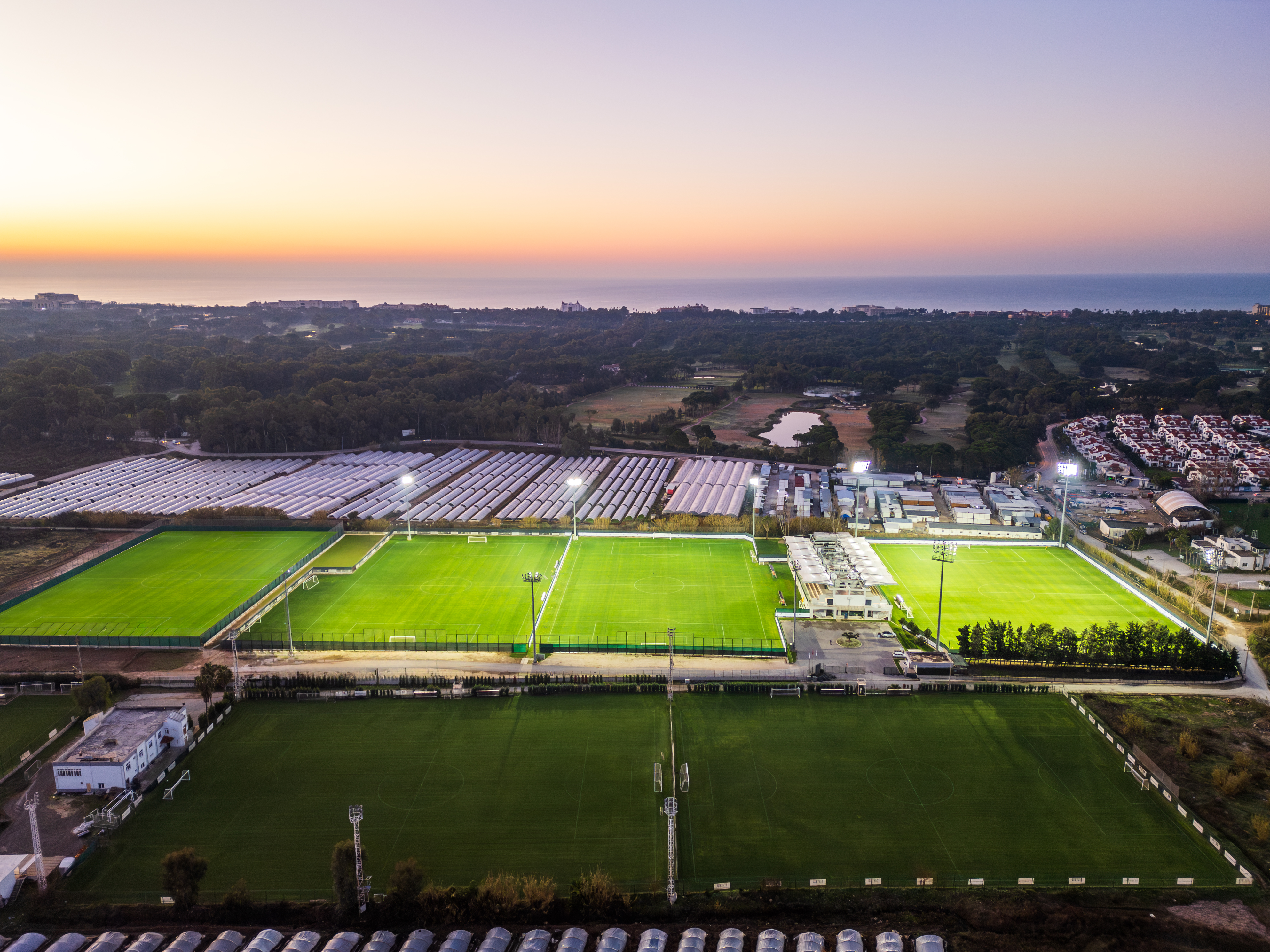 Sports and Entertainment