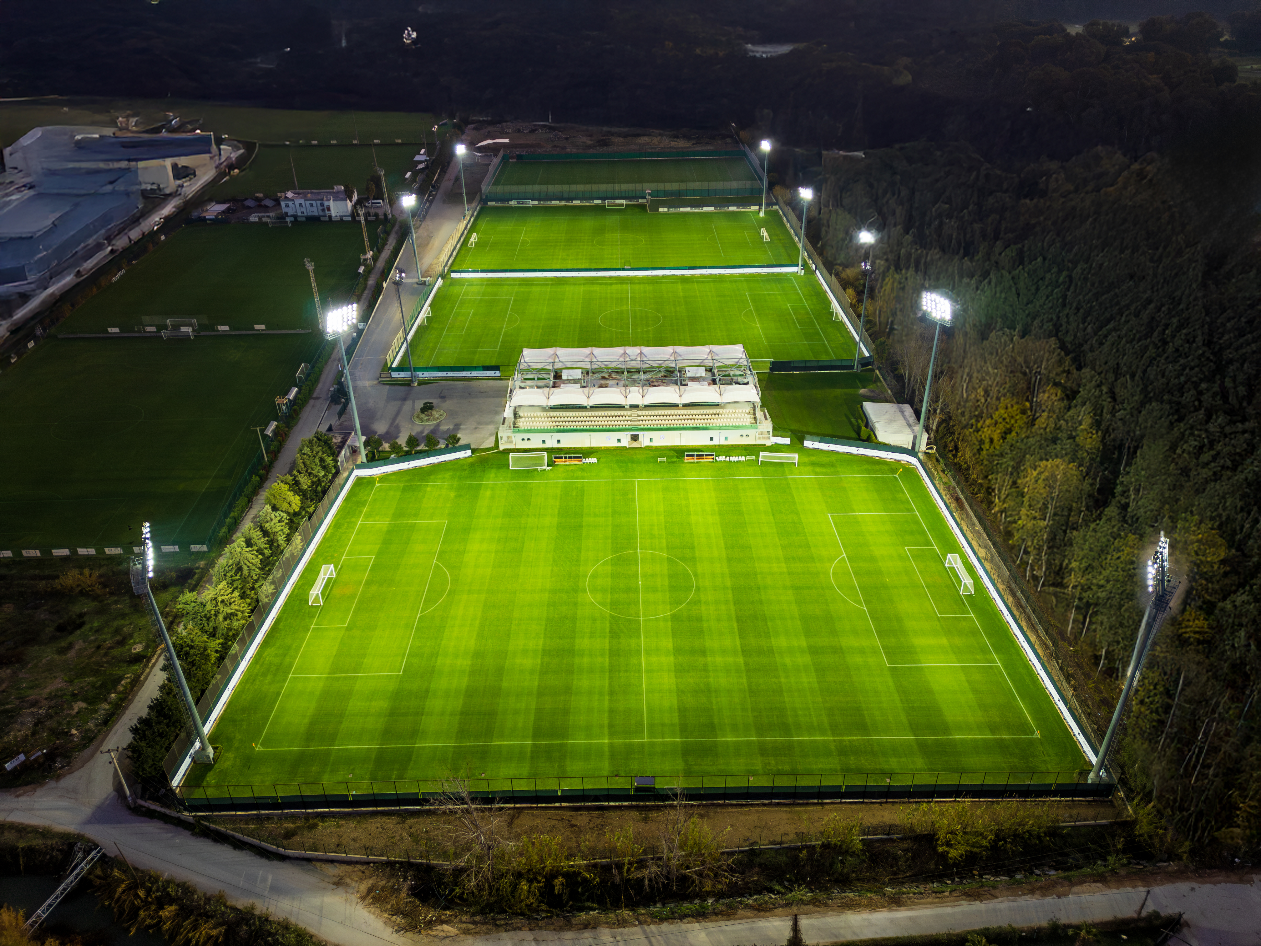 Sports and Entertainment