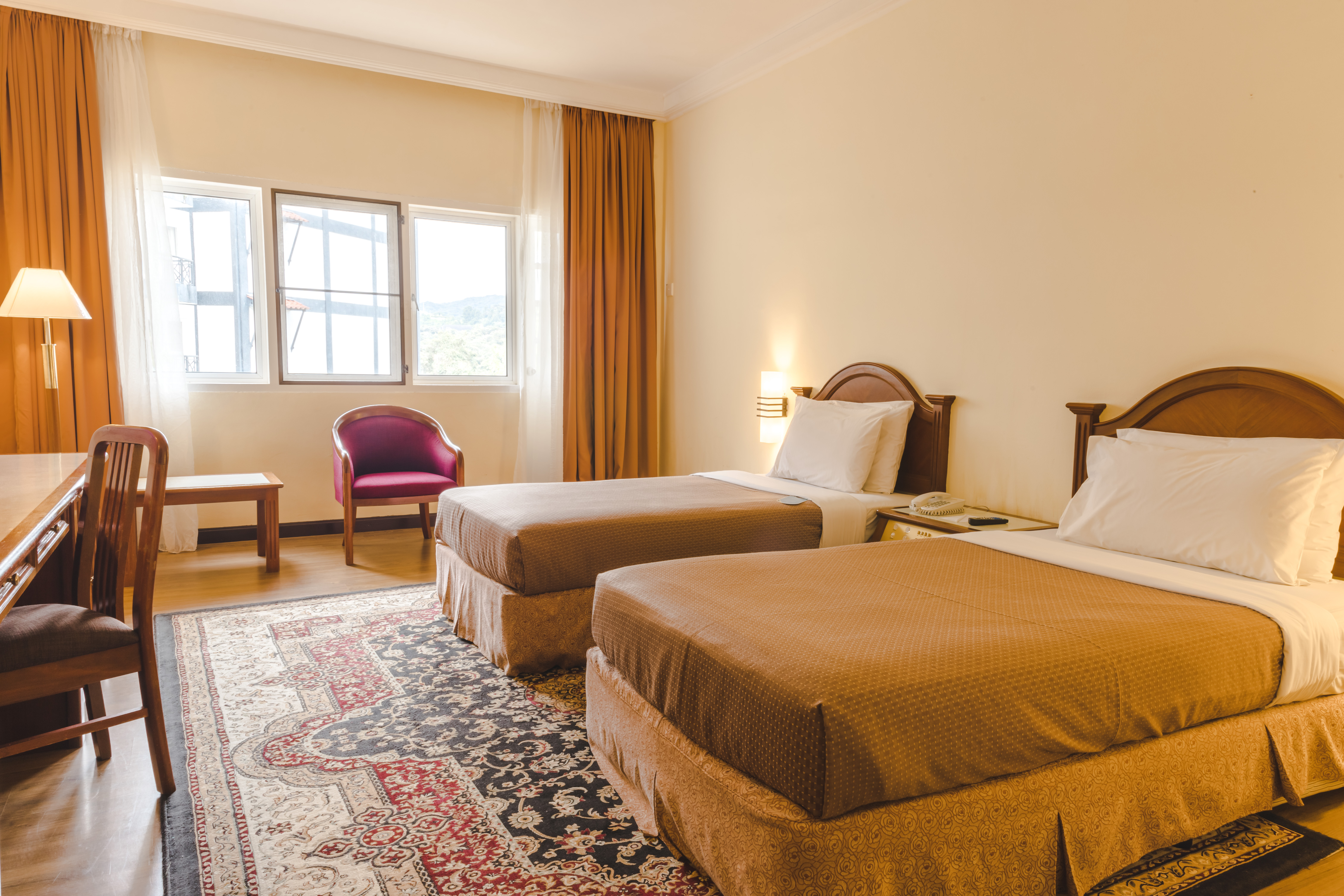 Double or Twin Superior