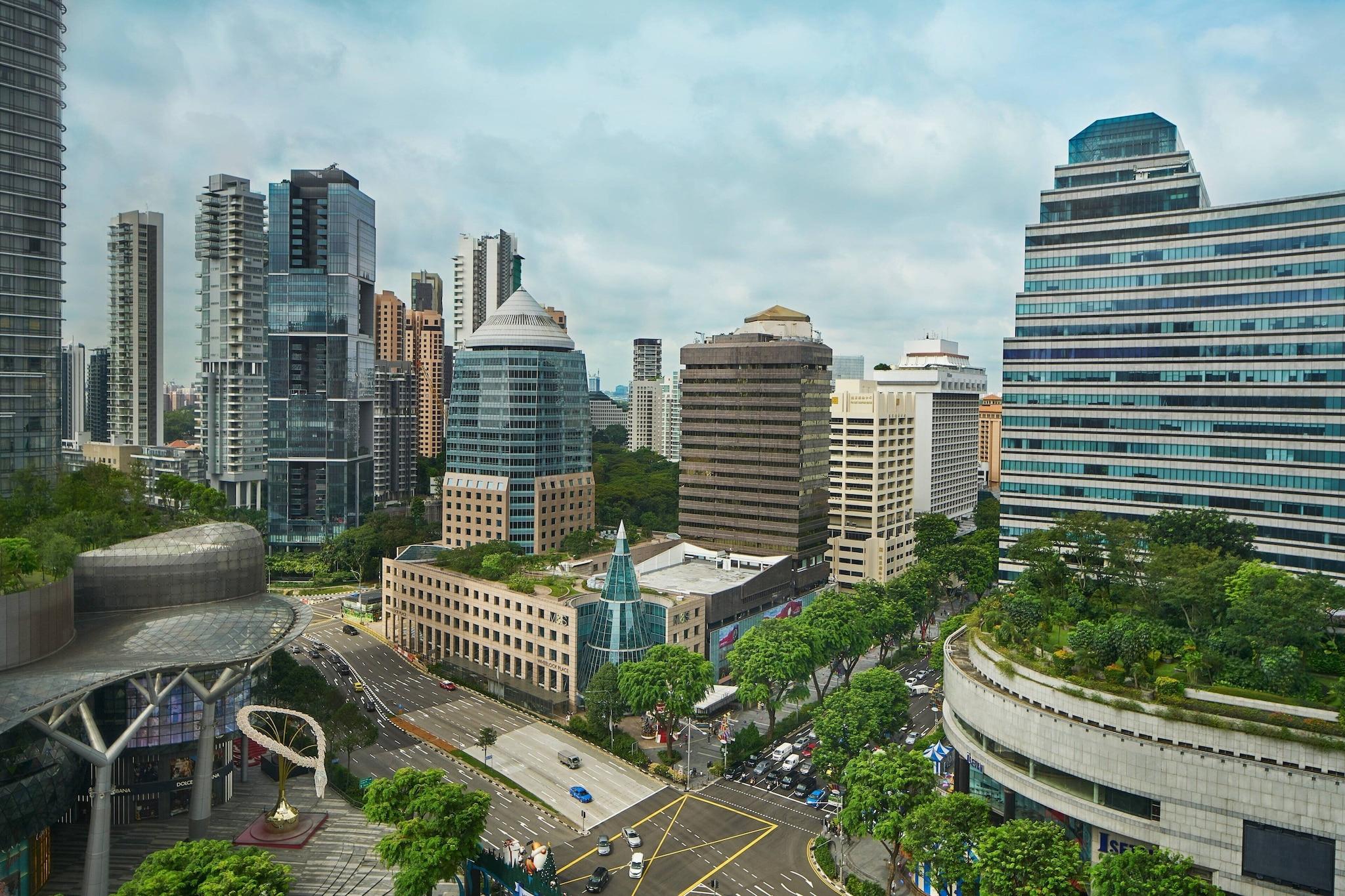 Double Deluxe King Bed