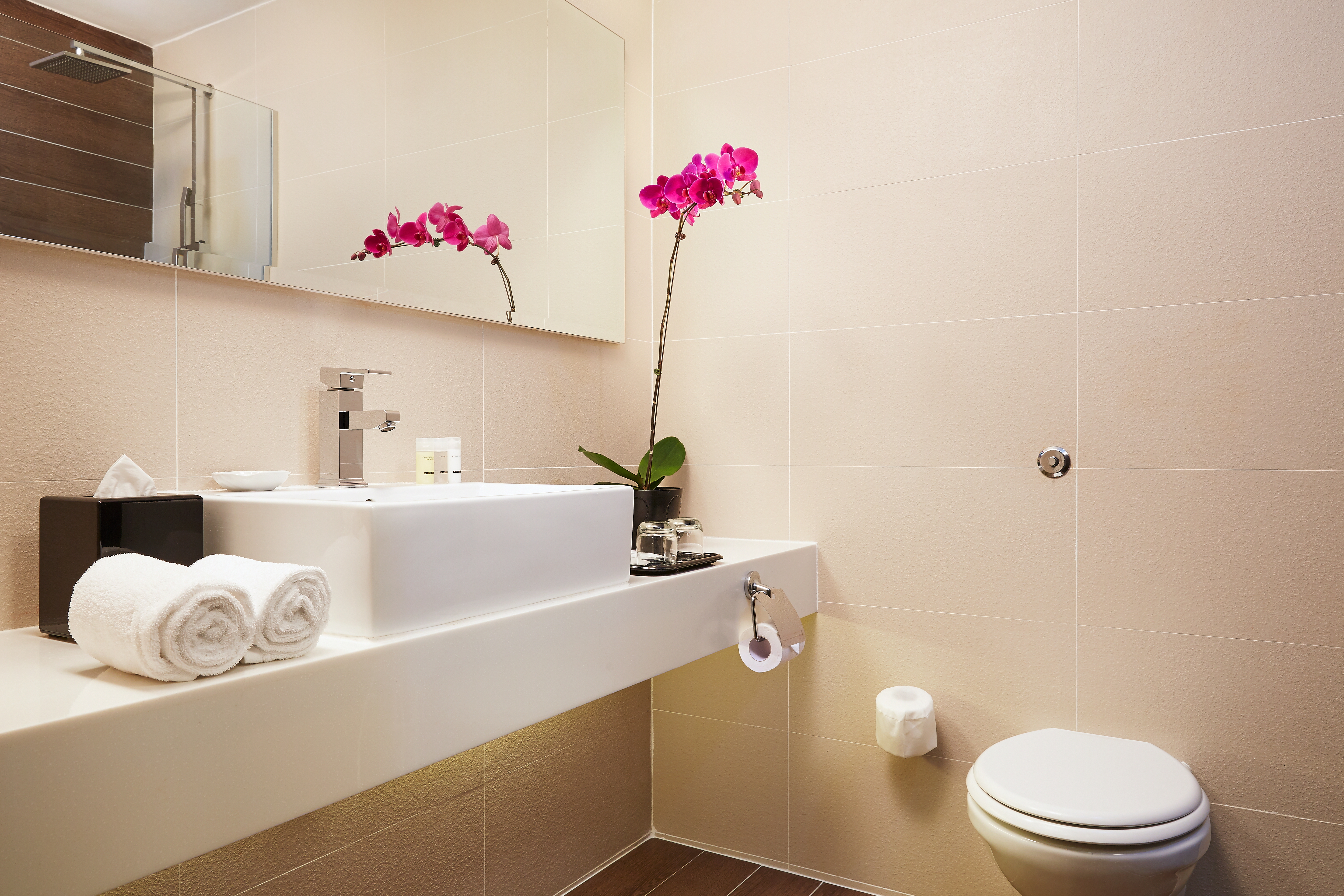 Family Room Standard