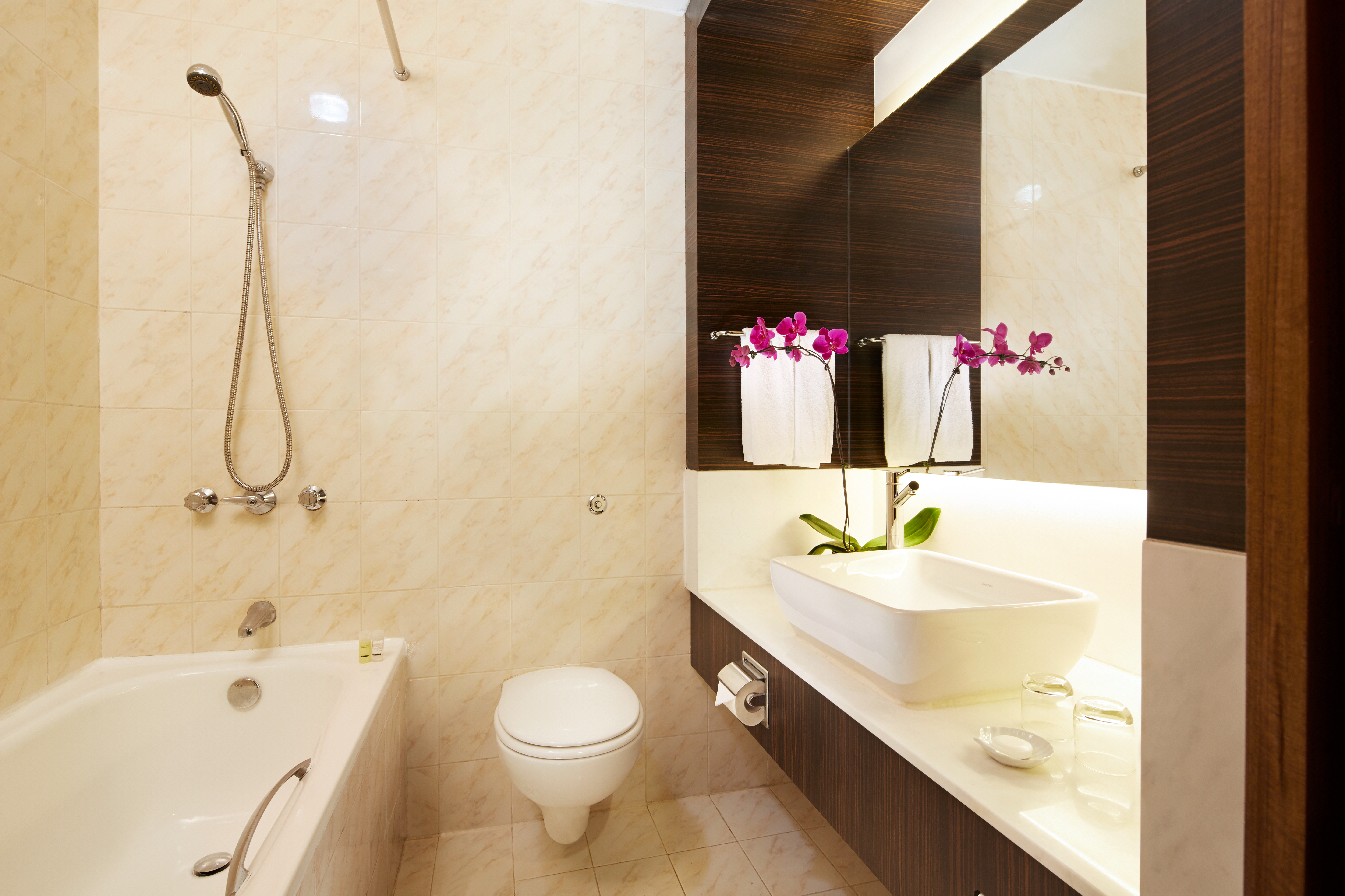 Double or Twin Superior