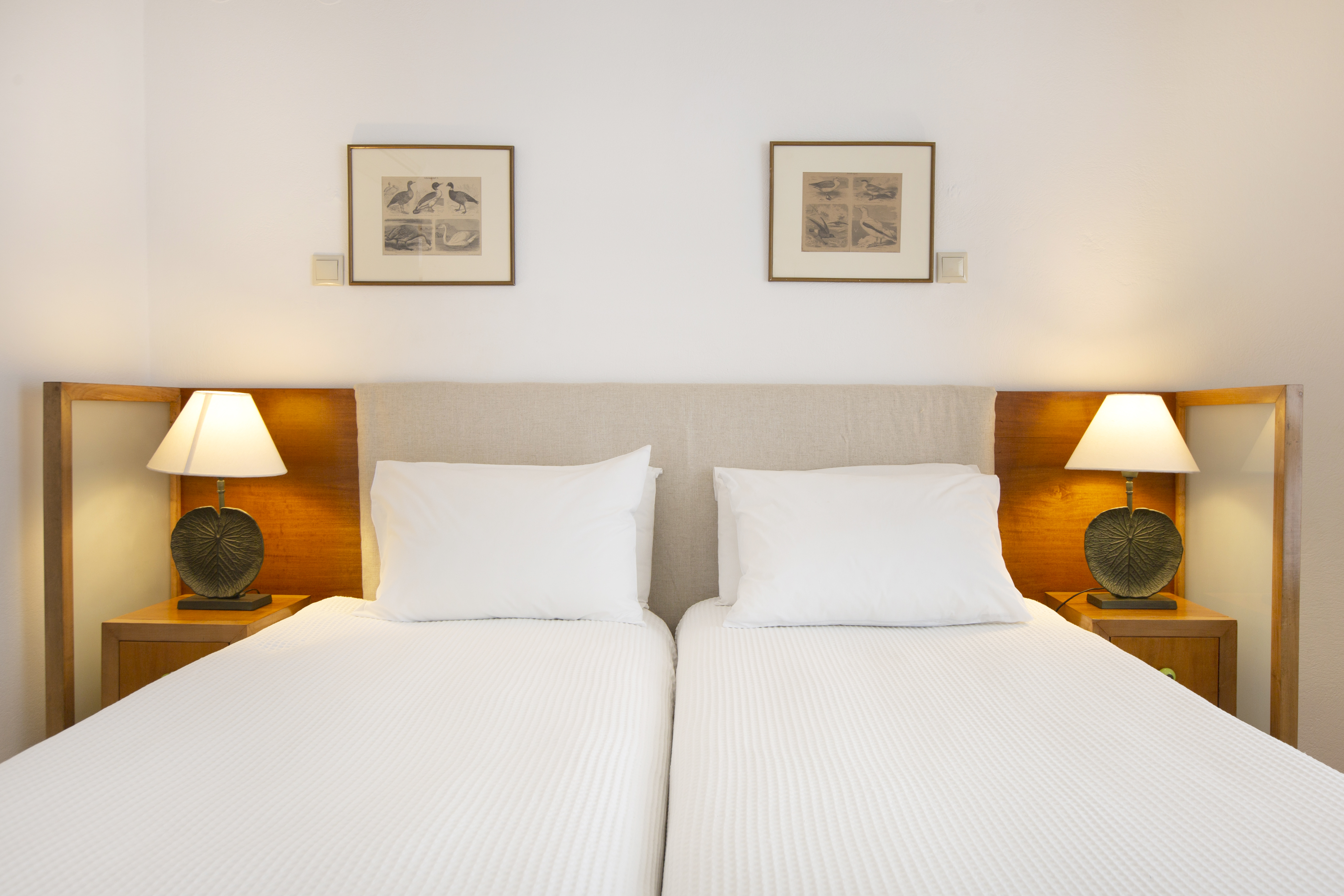 Double or Twin Standard