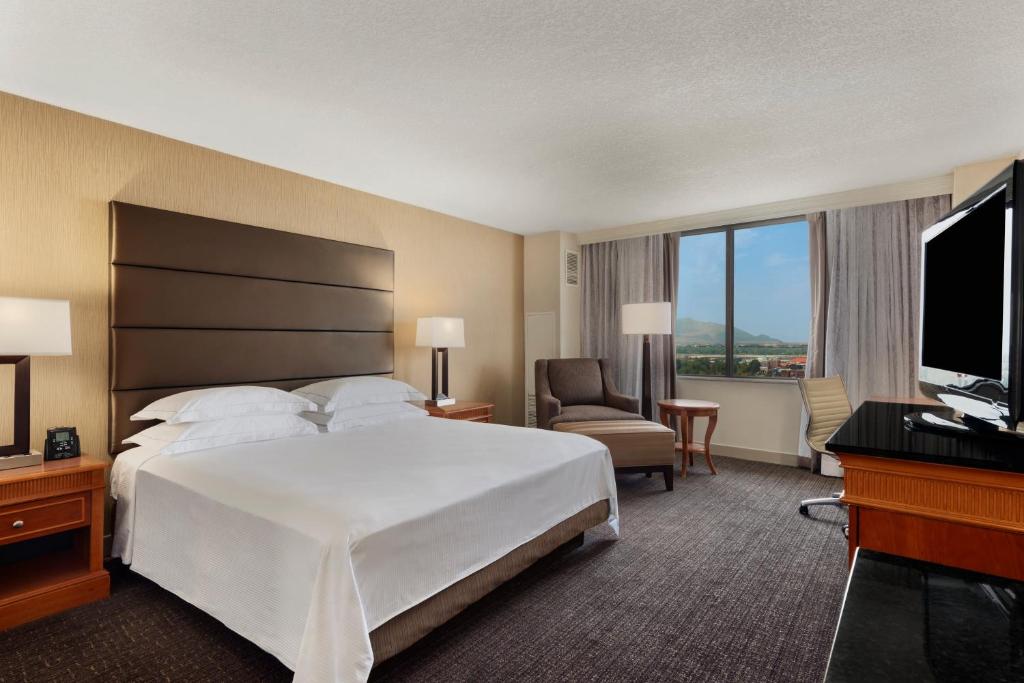 Double City View King Bed