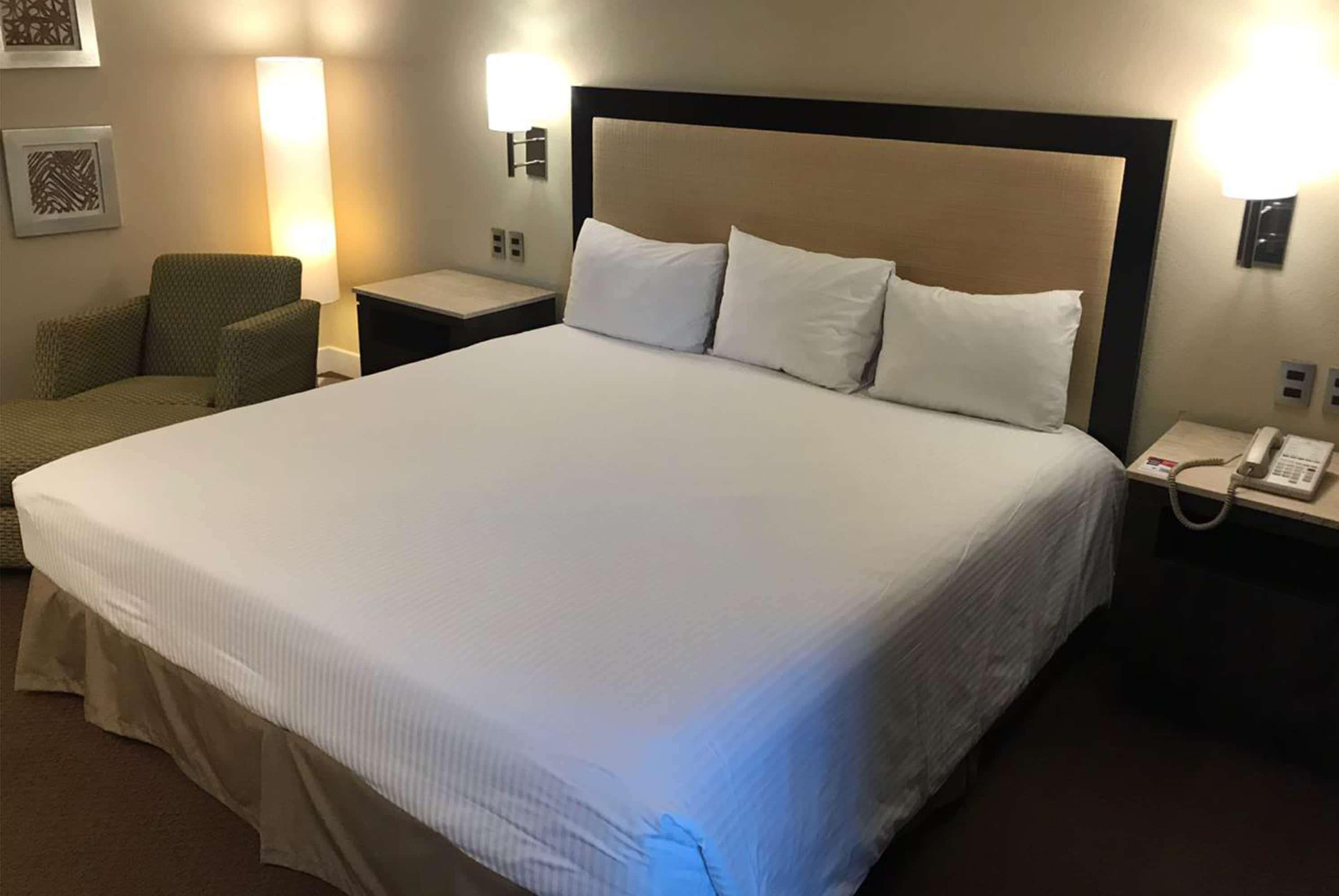 Suite King Bed Non Smoking