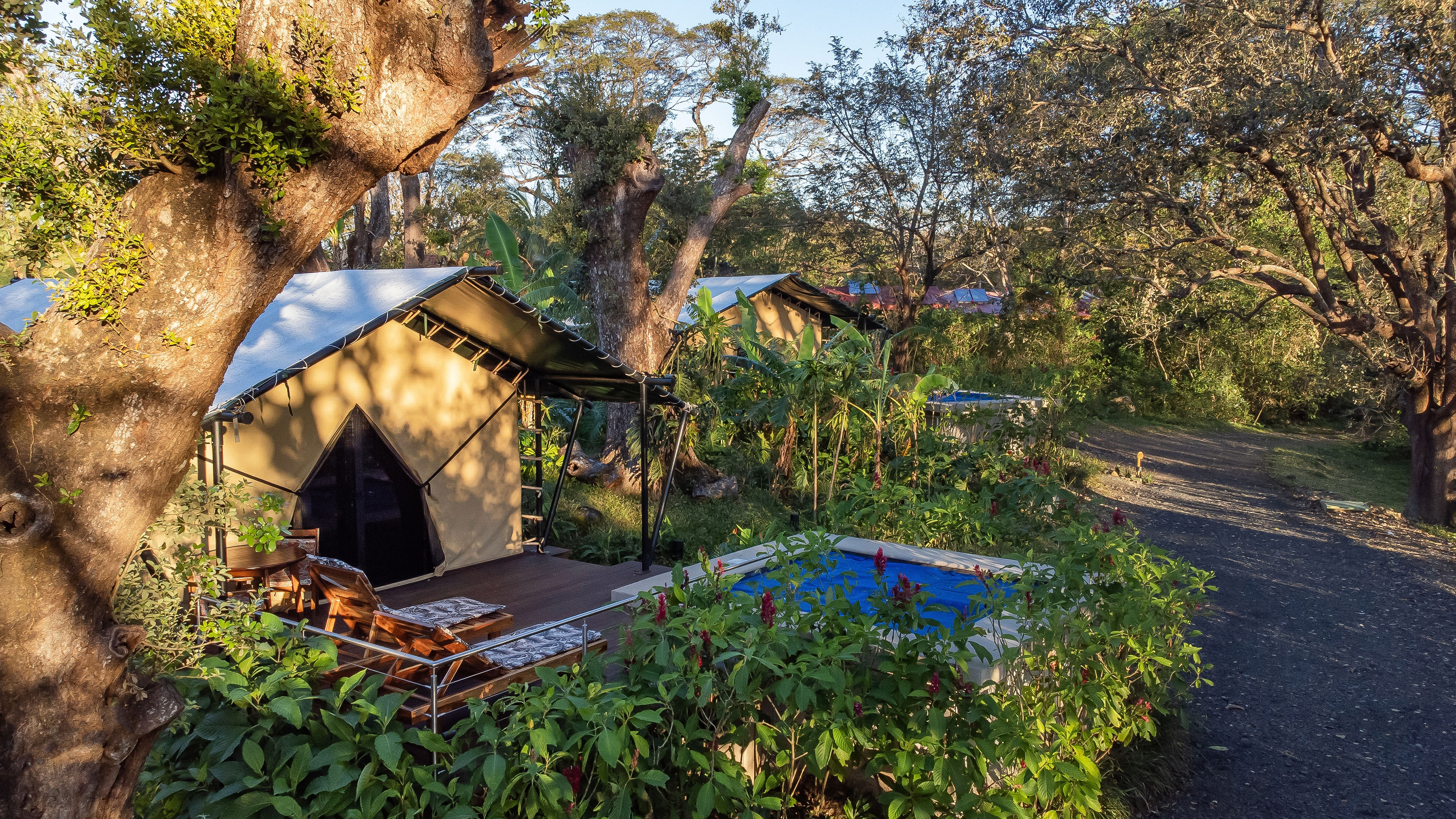 Tent One Bedroom with Terrace