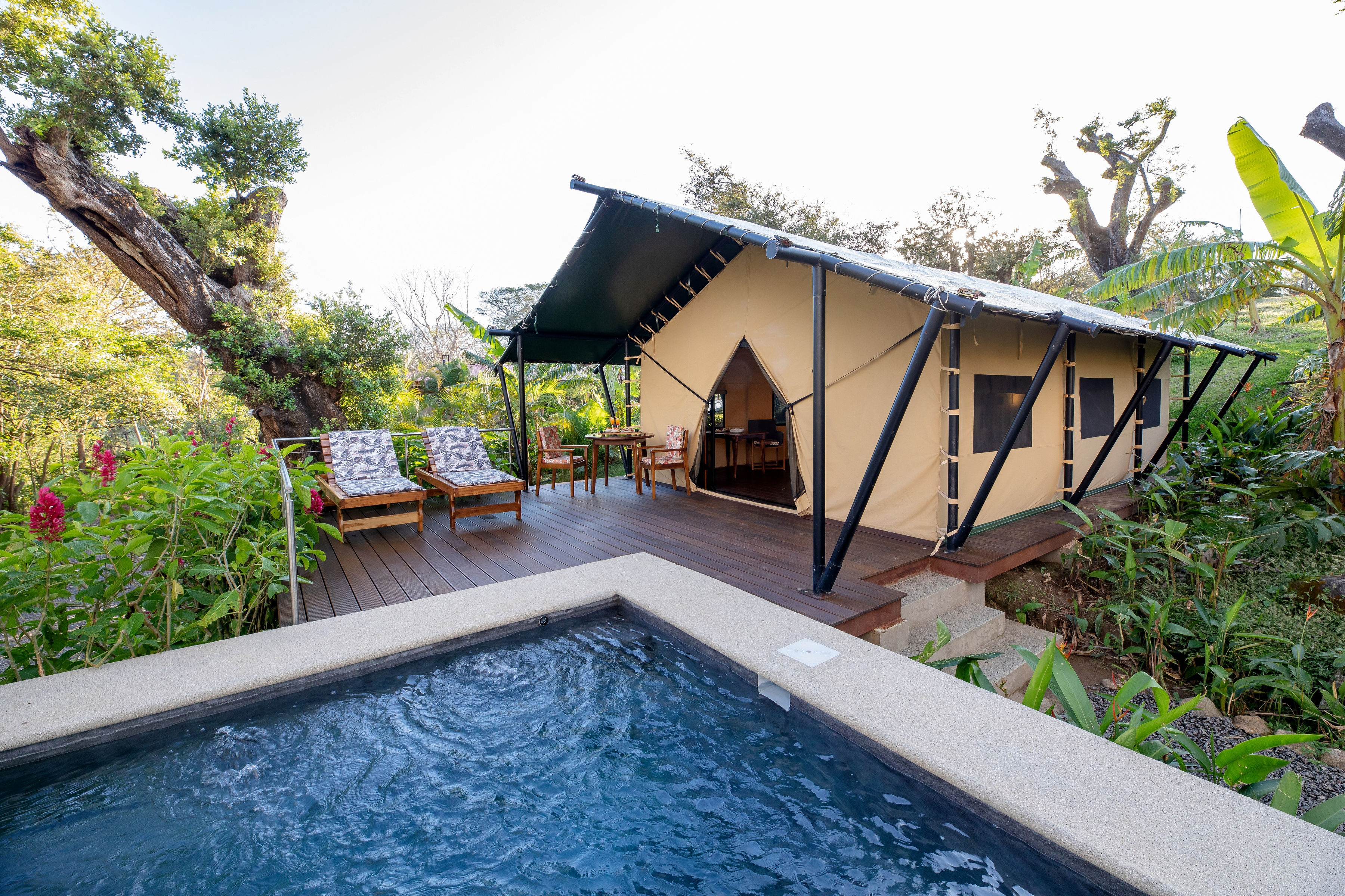 Tent One Bedroom with Terrace