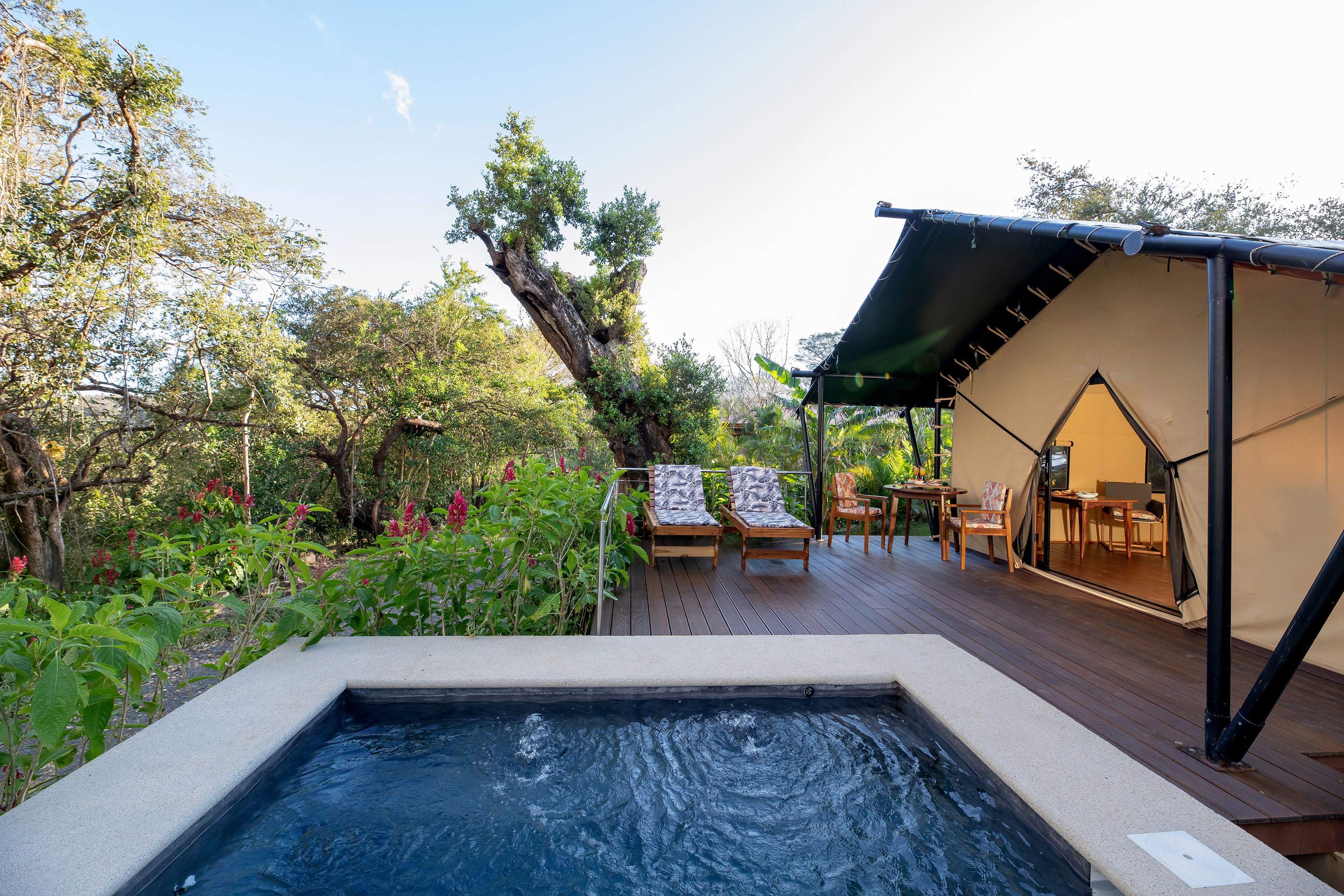 Tent One Bedroom with Terrace