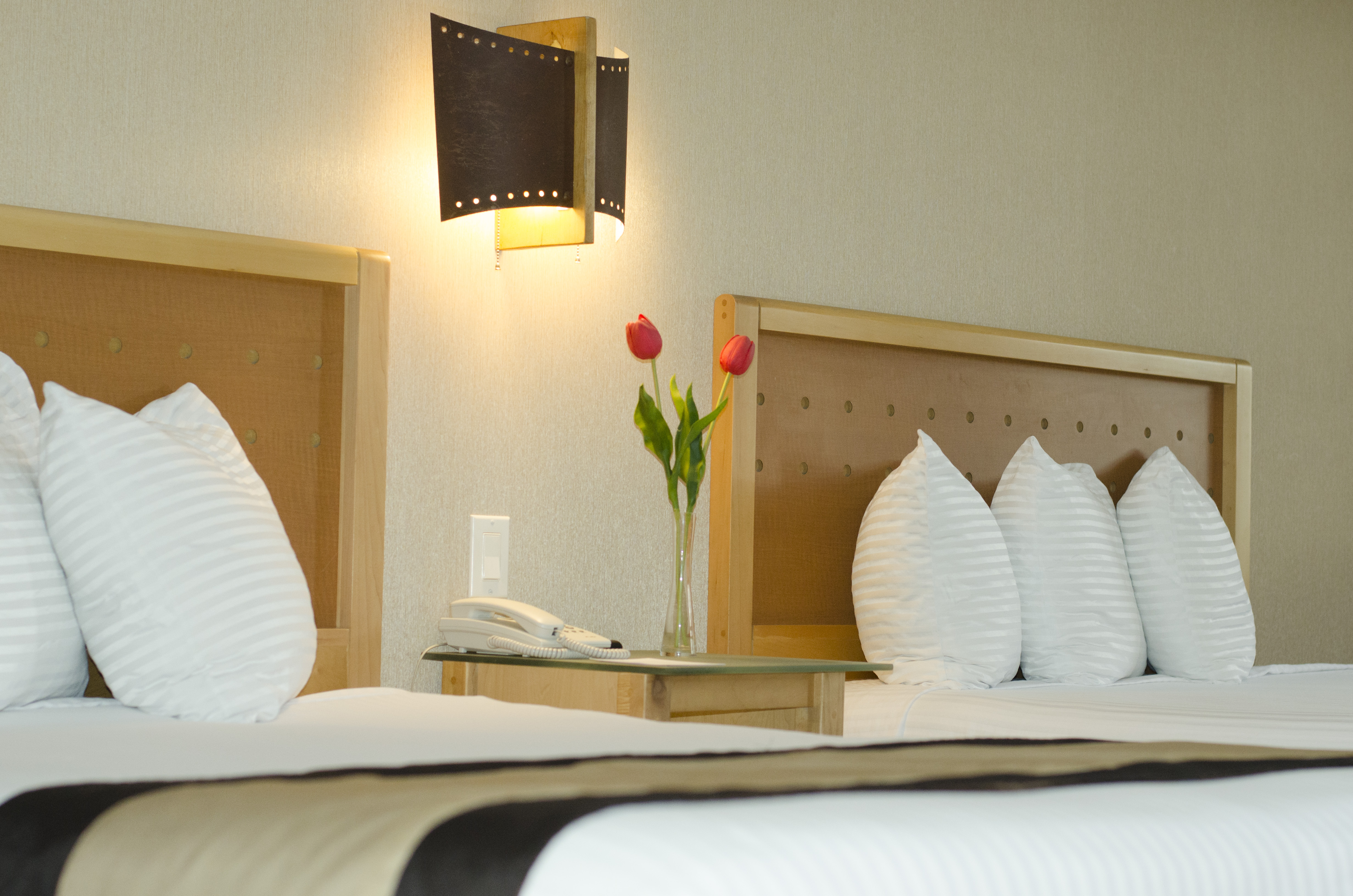 Room Two Double Beds