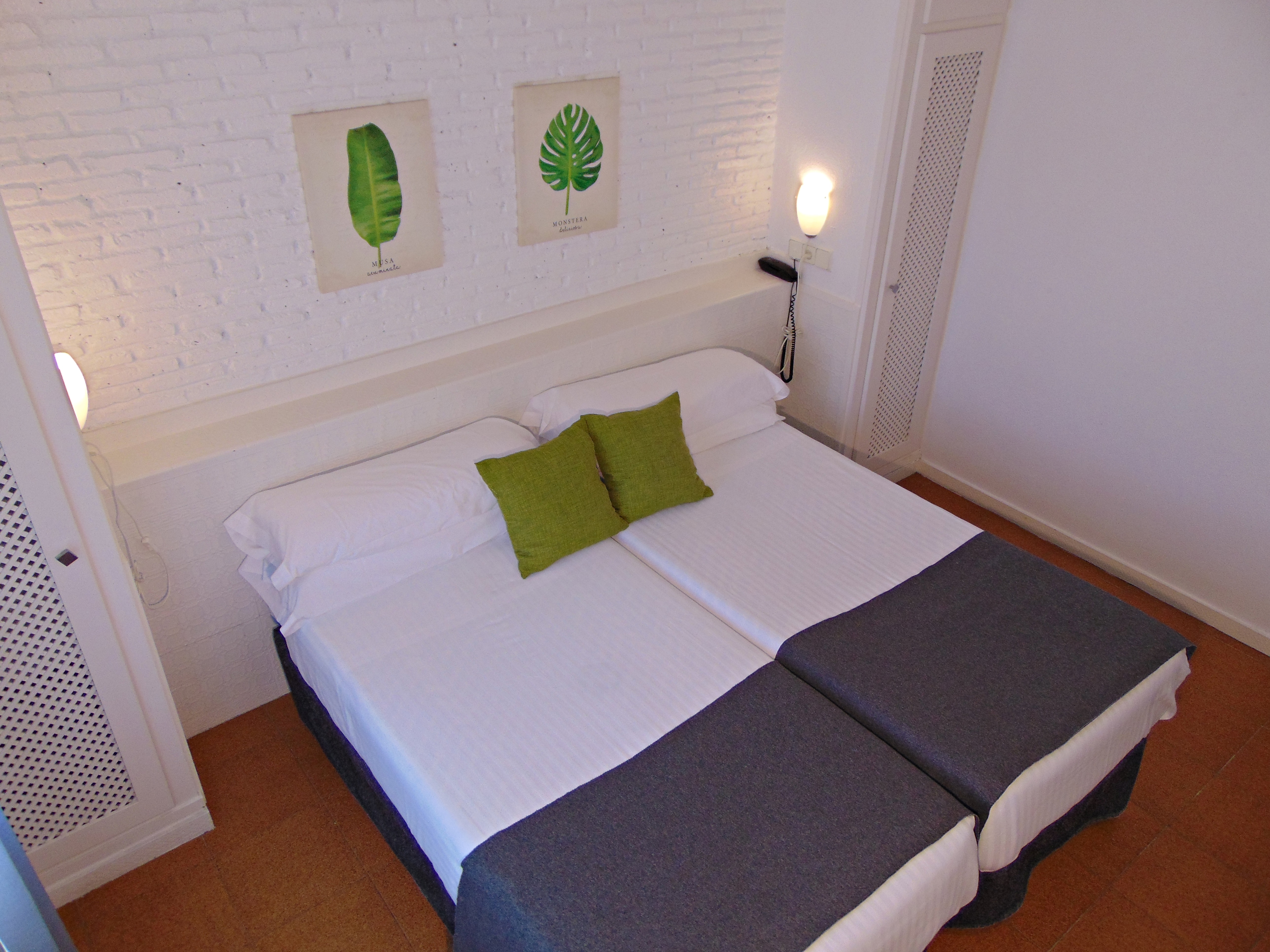 Double or Twin Standard