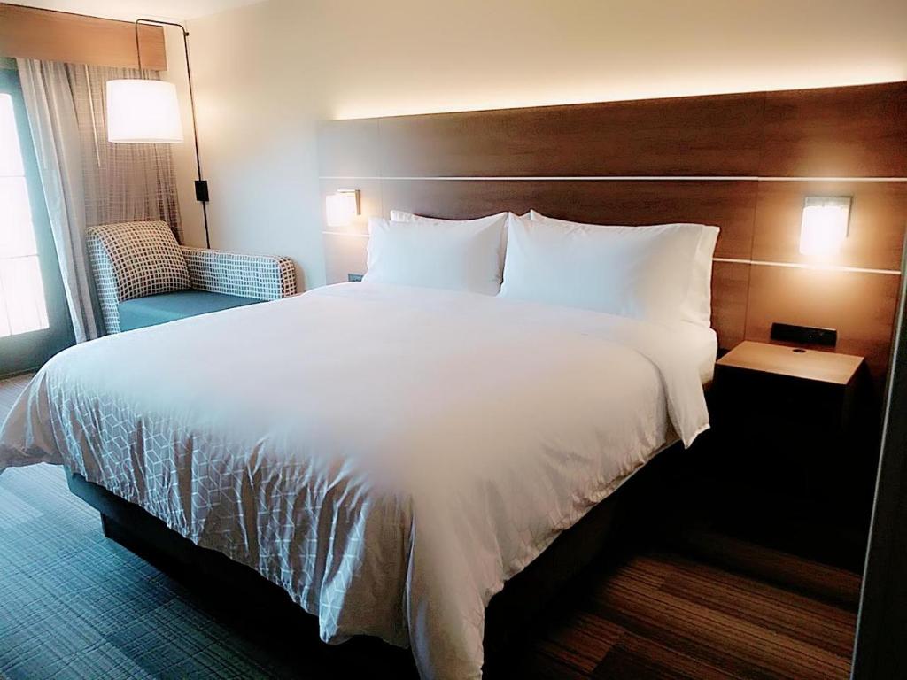 Suite King Bed Non Smoking