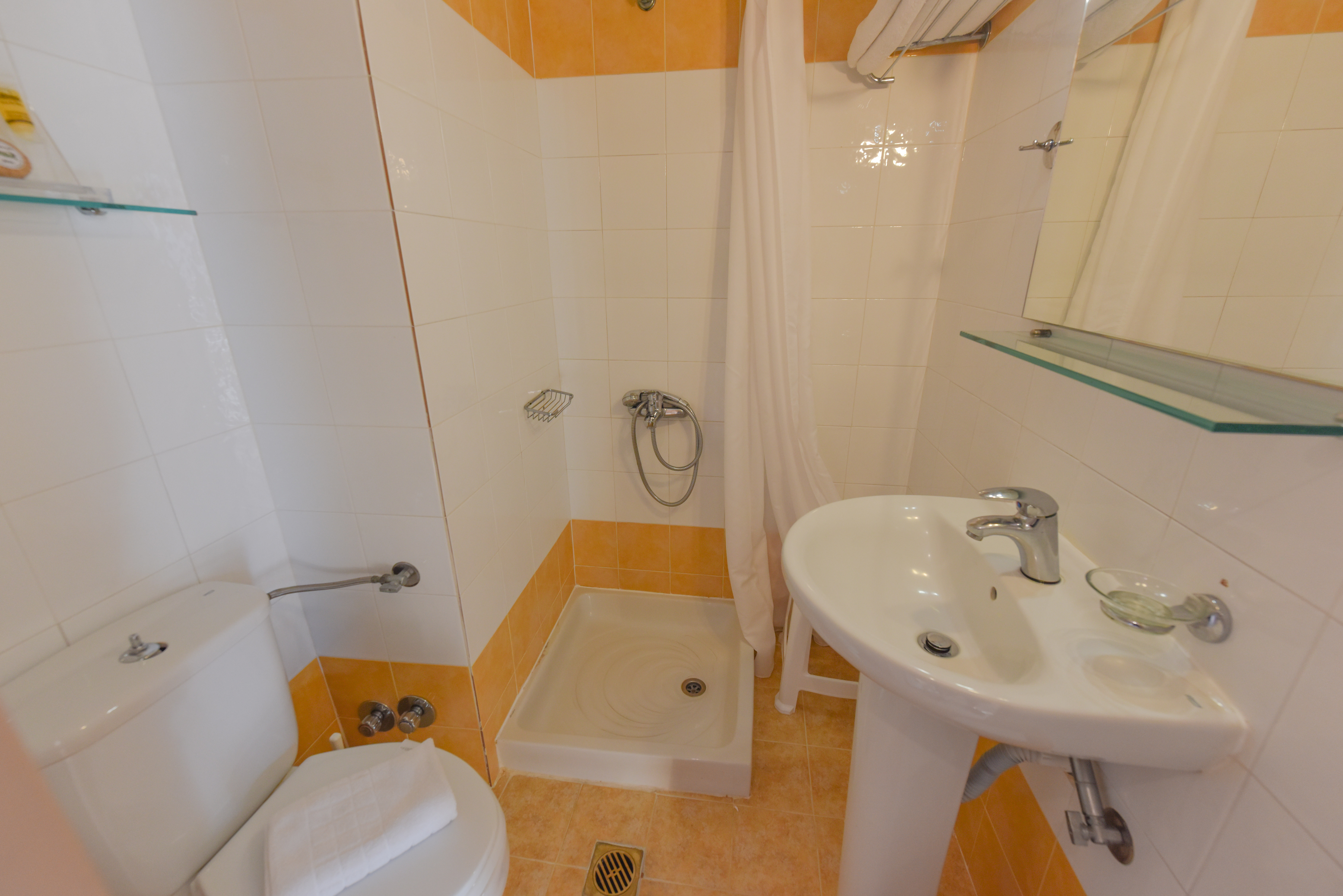 Double or Twin Executive