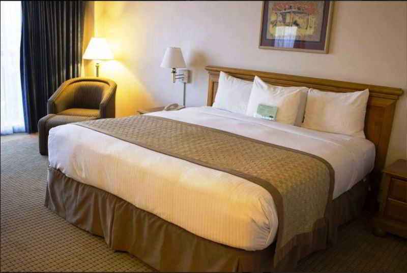 Double Deluxe King Bed