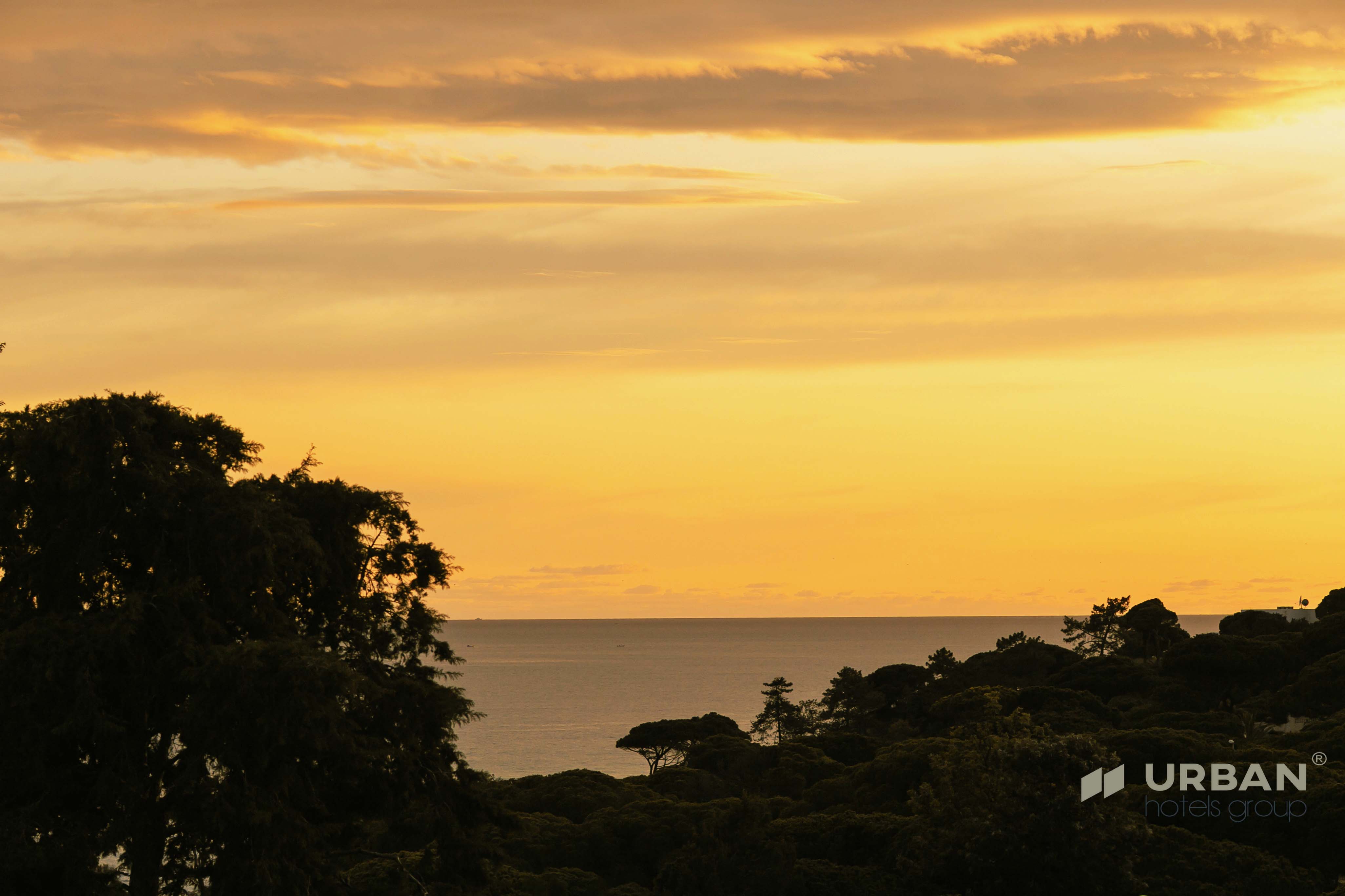 Double Luxury Ocean View