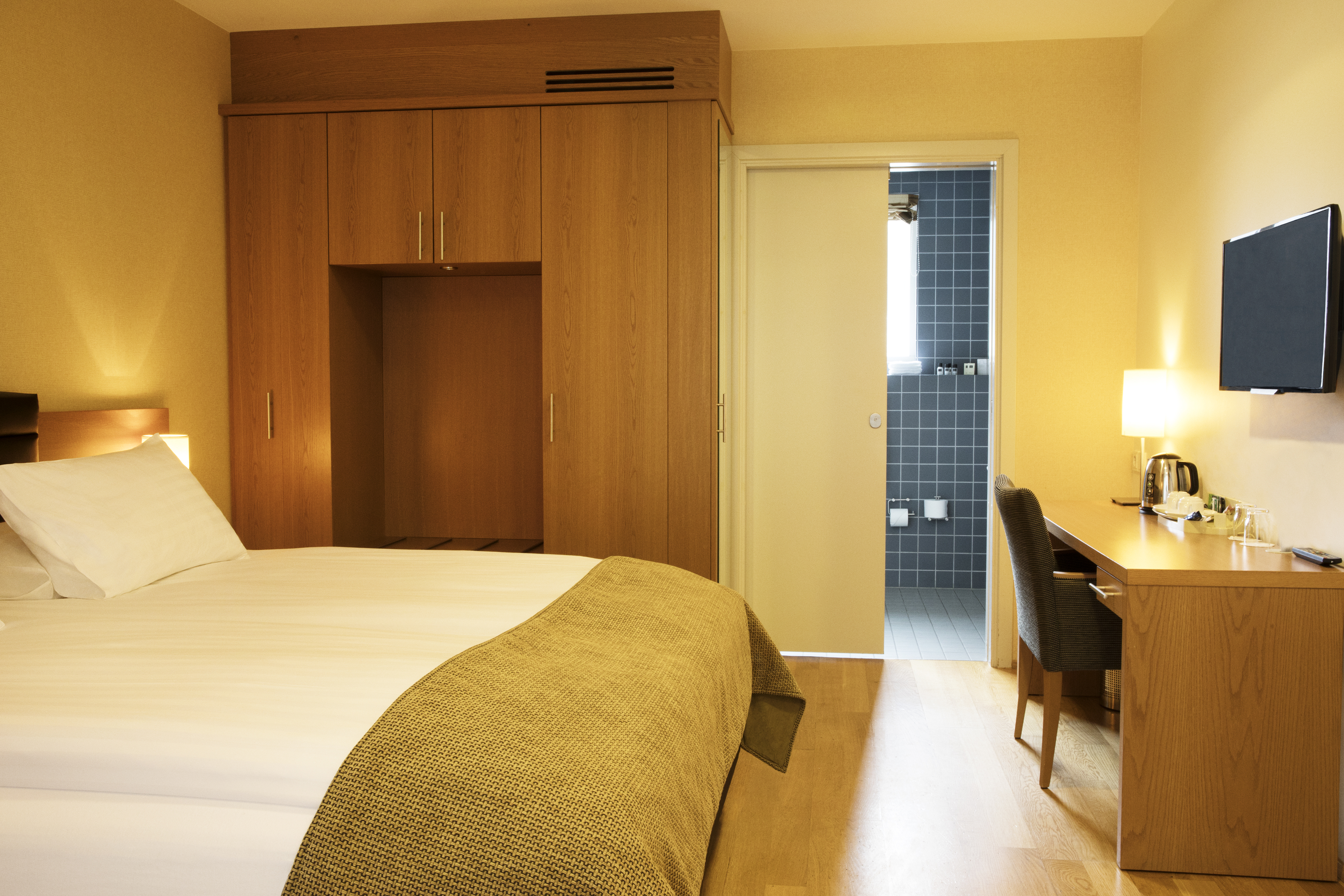 Double or Twin Standard