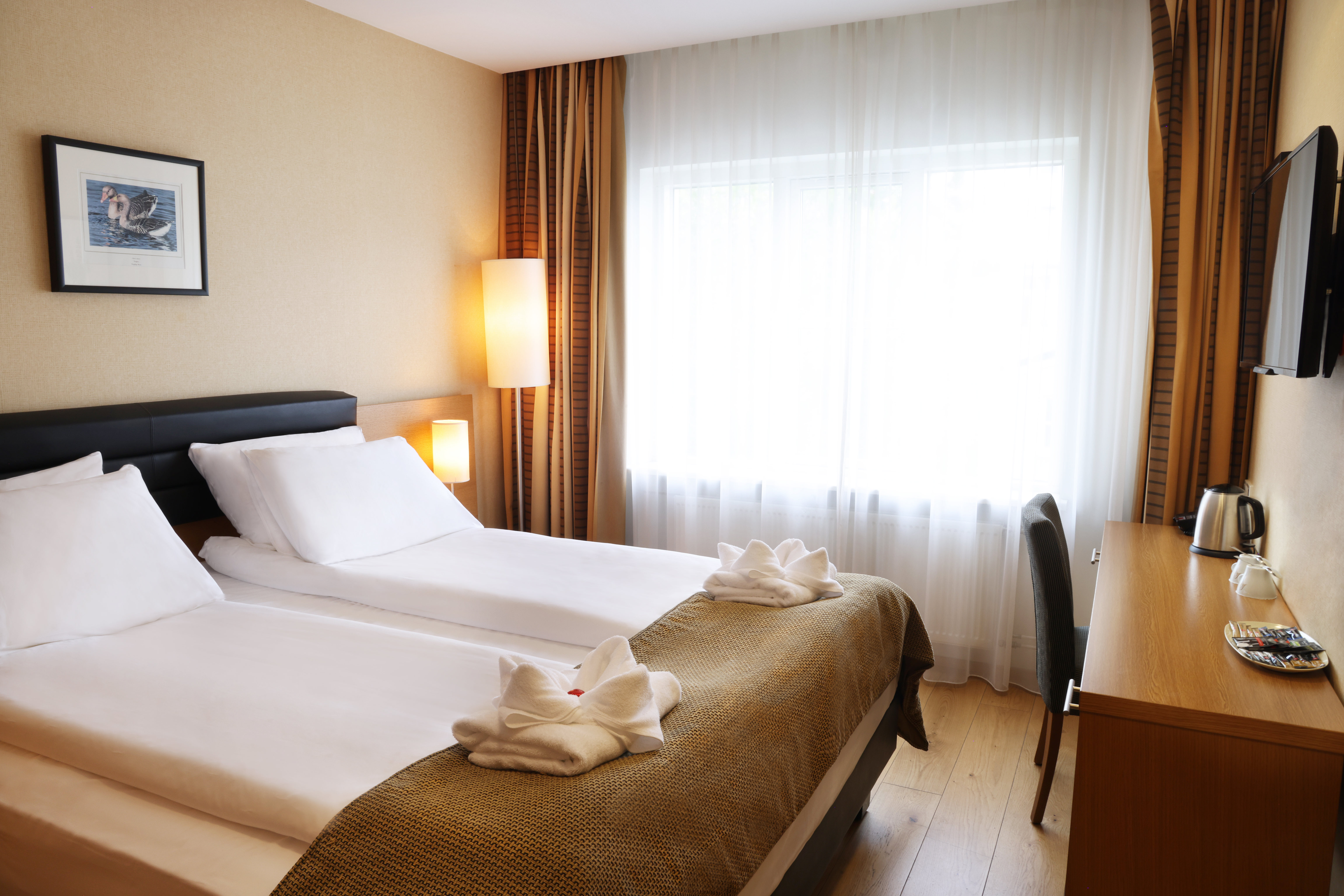 Double or Twin Standard