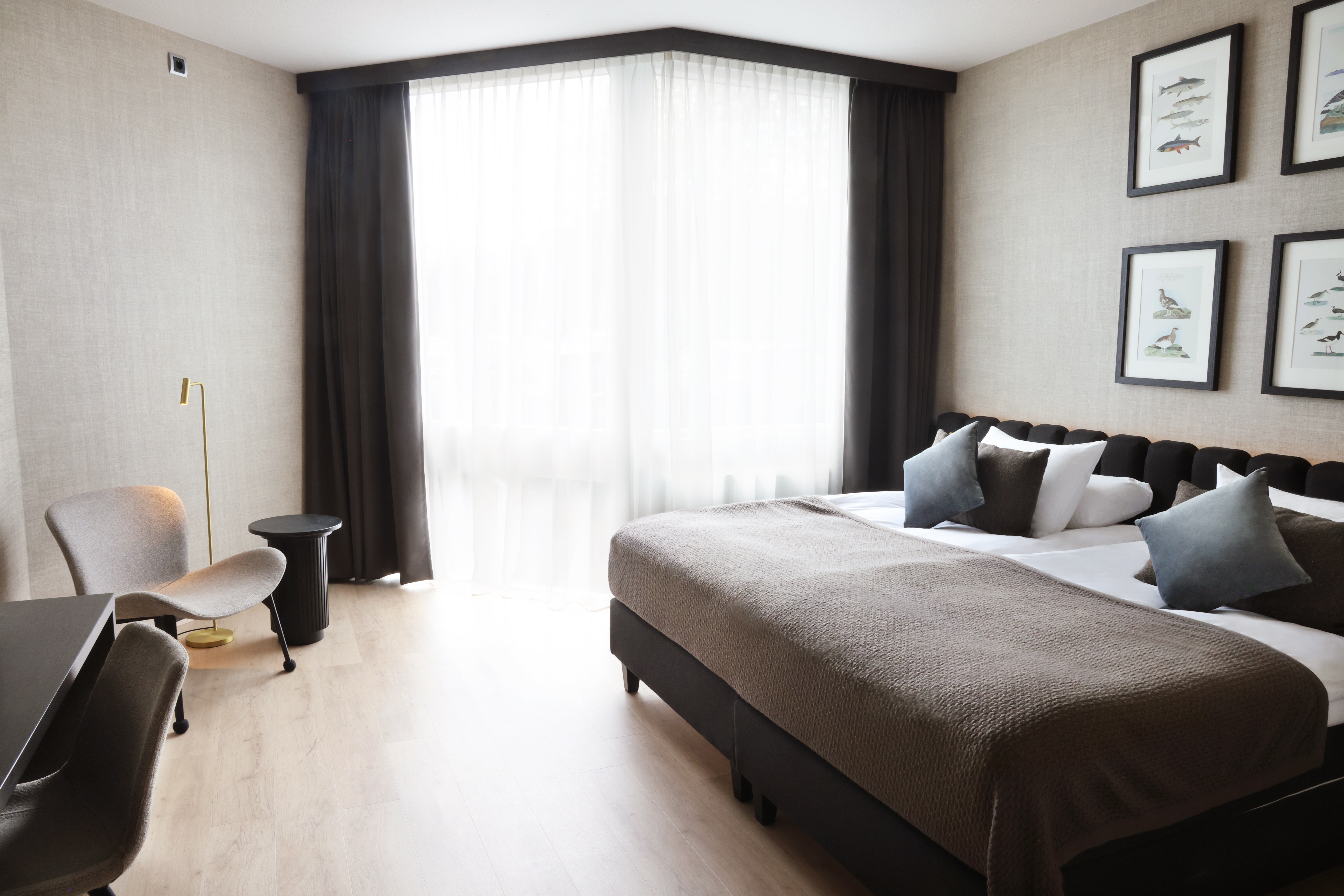 Double or Twin Standard