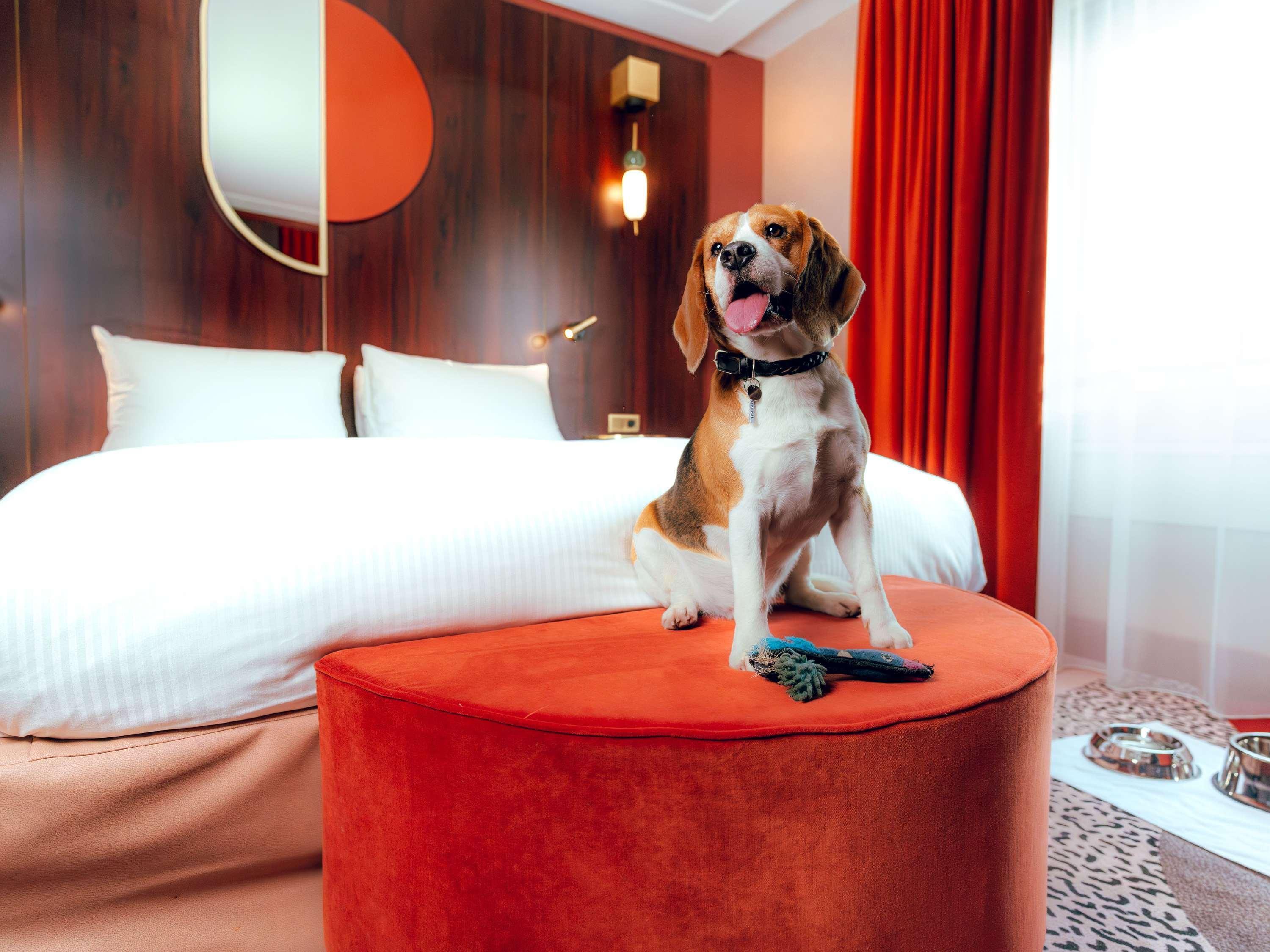 Junior Suite with Double Bed