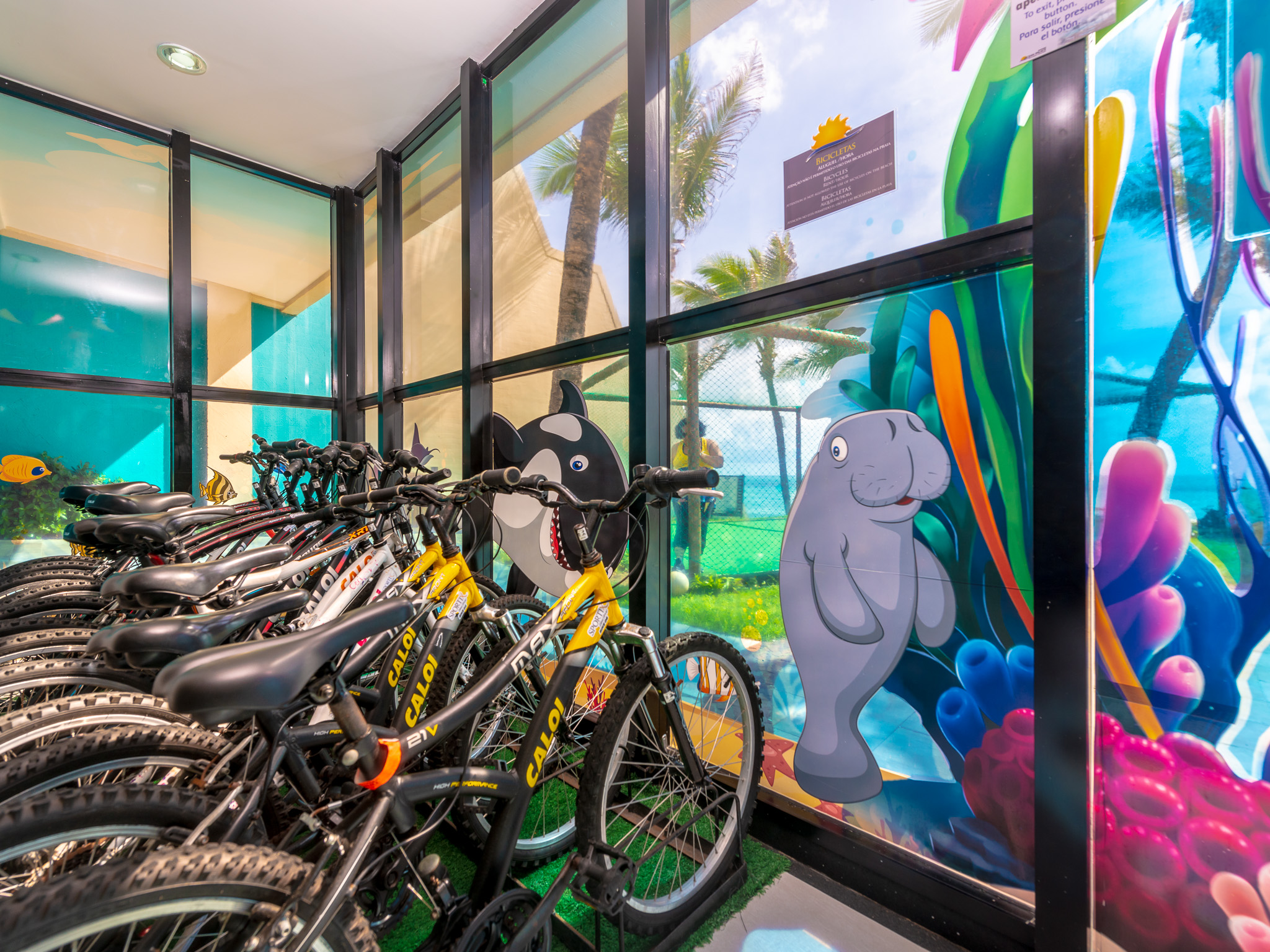 Sports and Entertainment