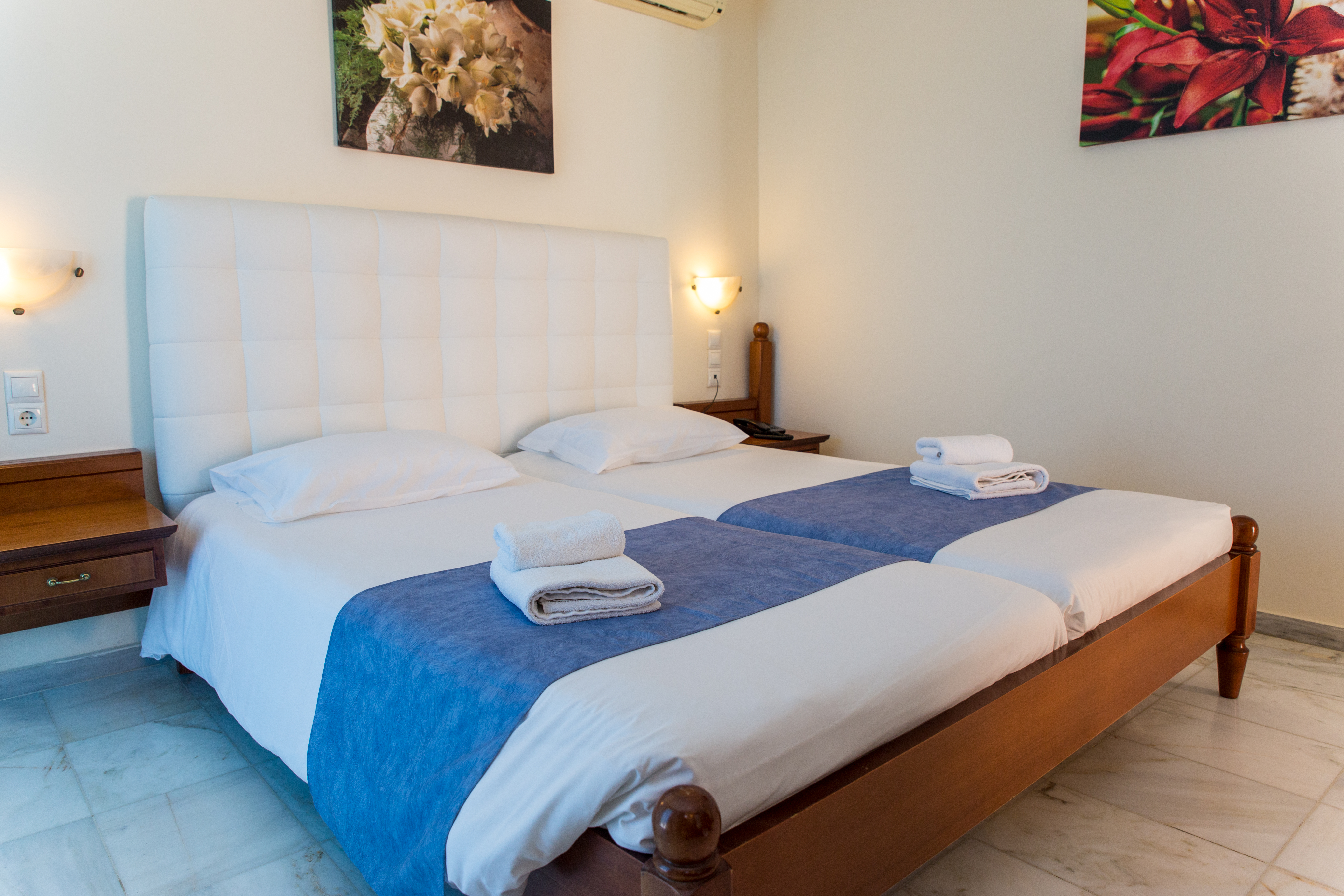 Double or Twin Superior