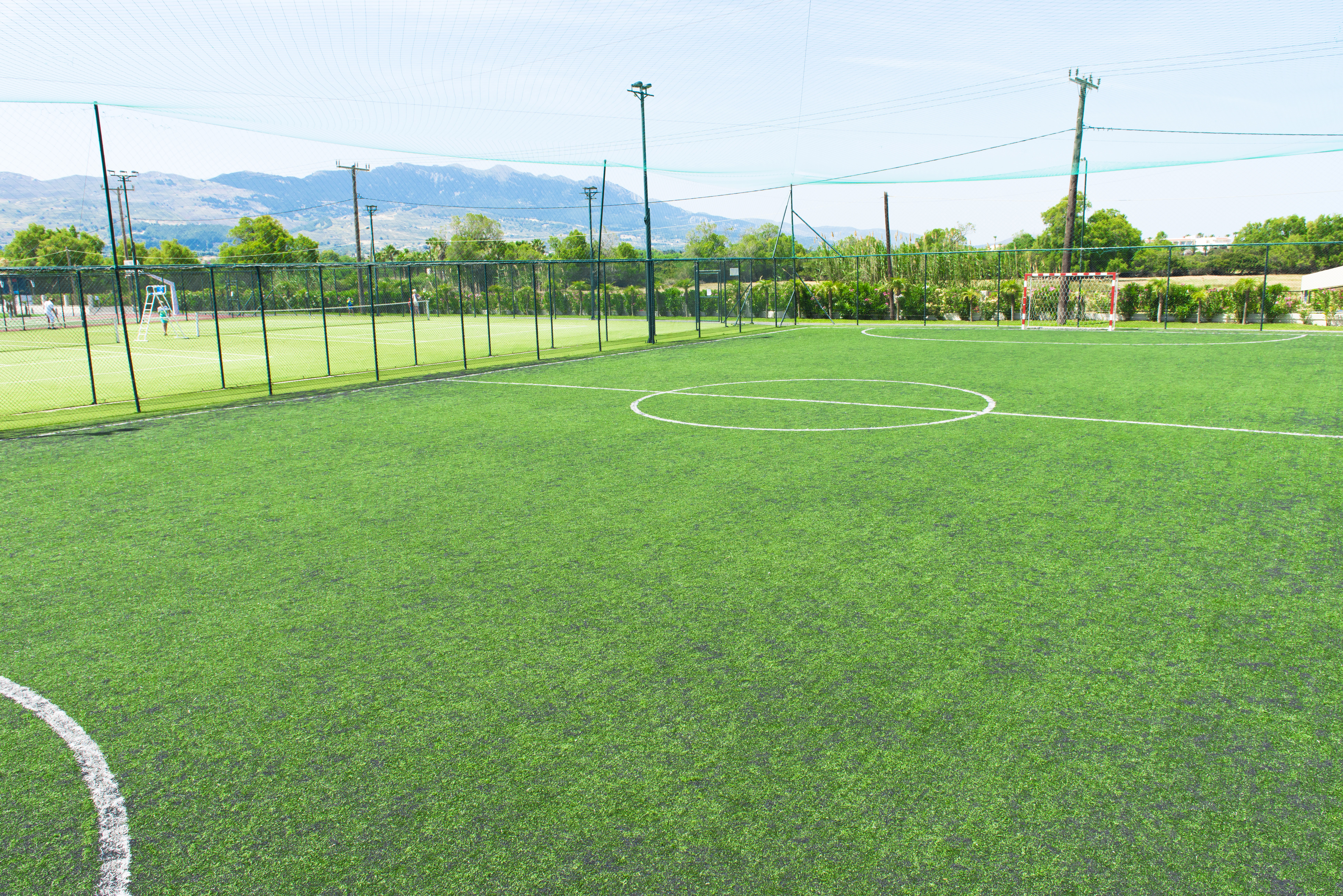 Sports and Entertainment