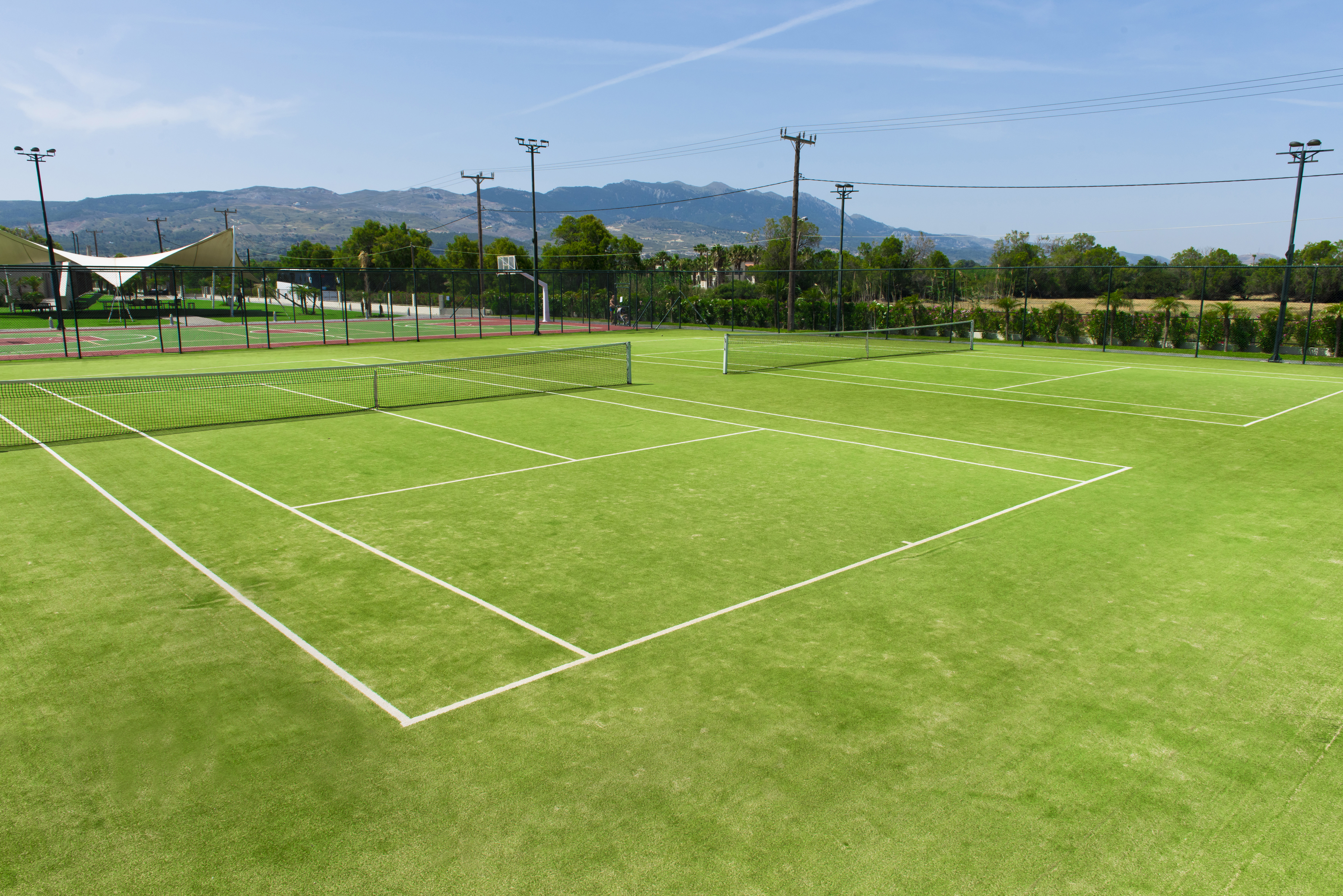 Sports and Entertainment