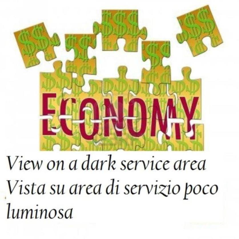 Double or Twin Economy