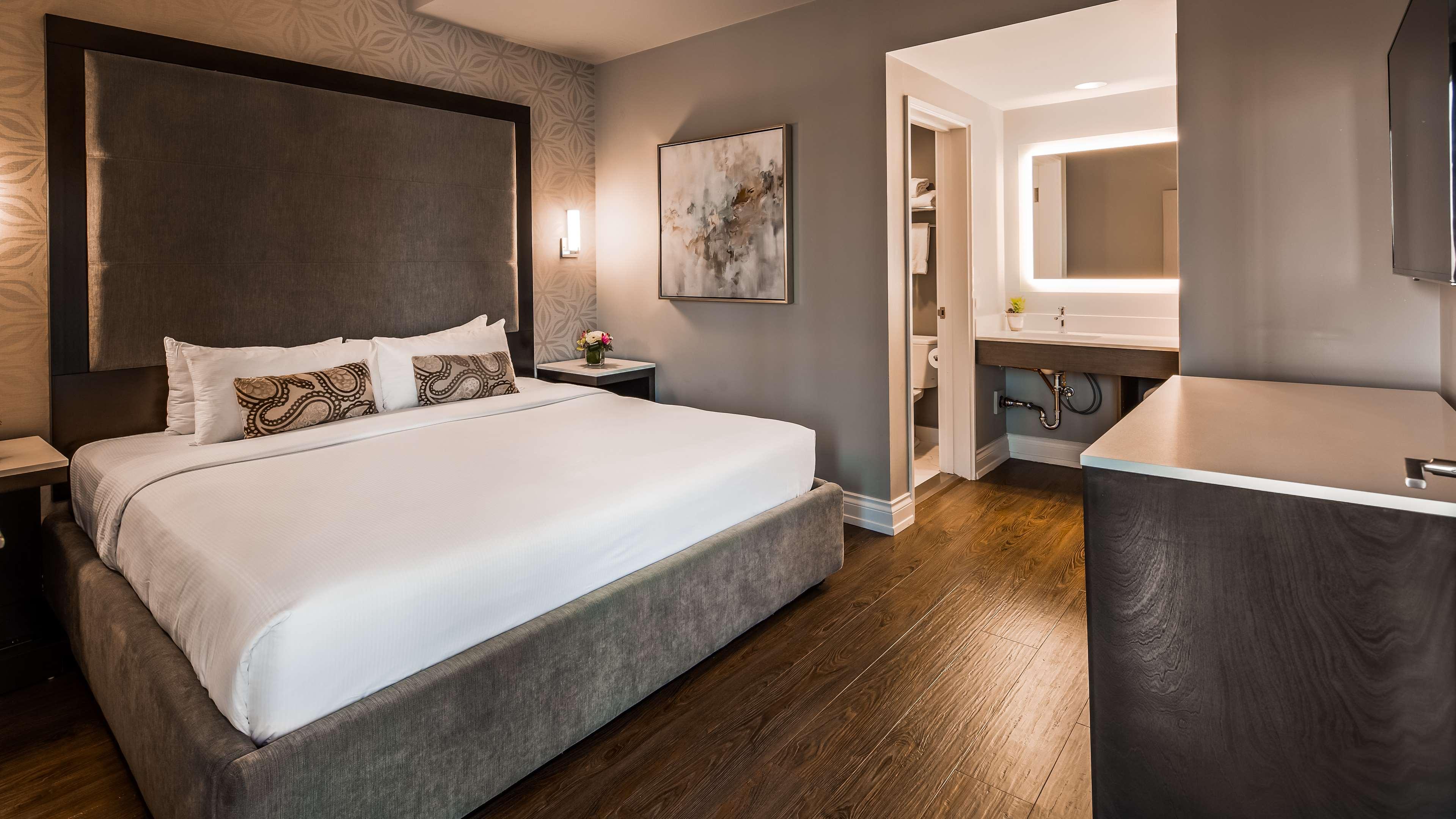 Suite King Bed Non Smoking