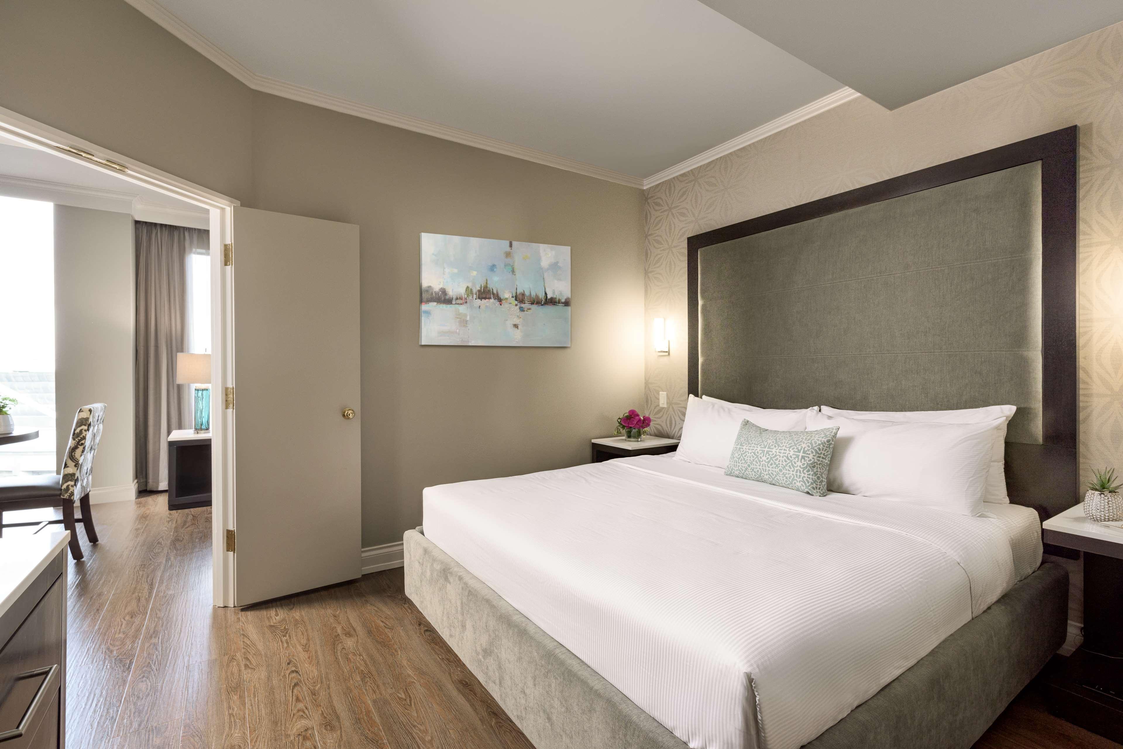 Suite King Bed Non Smoking