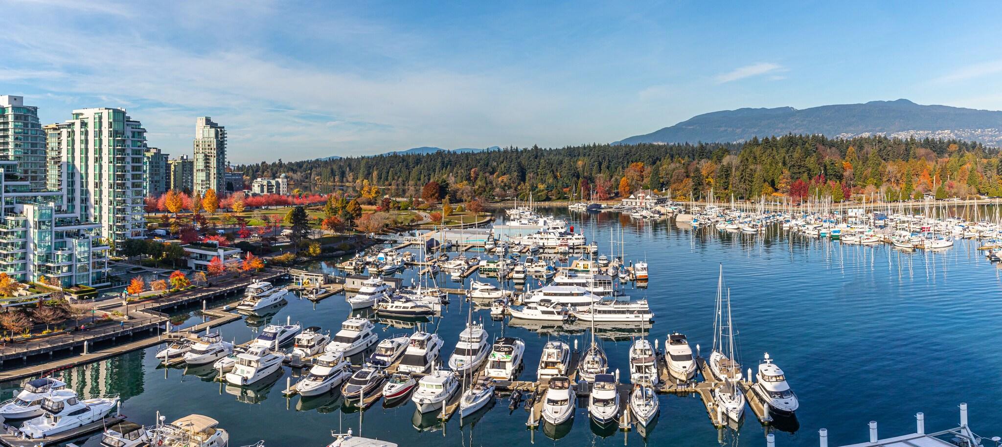 Double Deluxe Mountain View