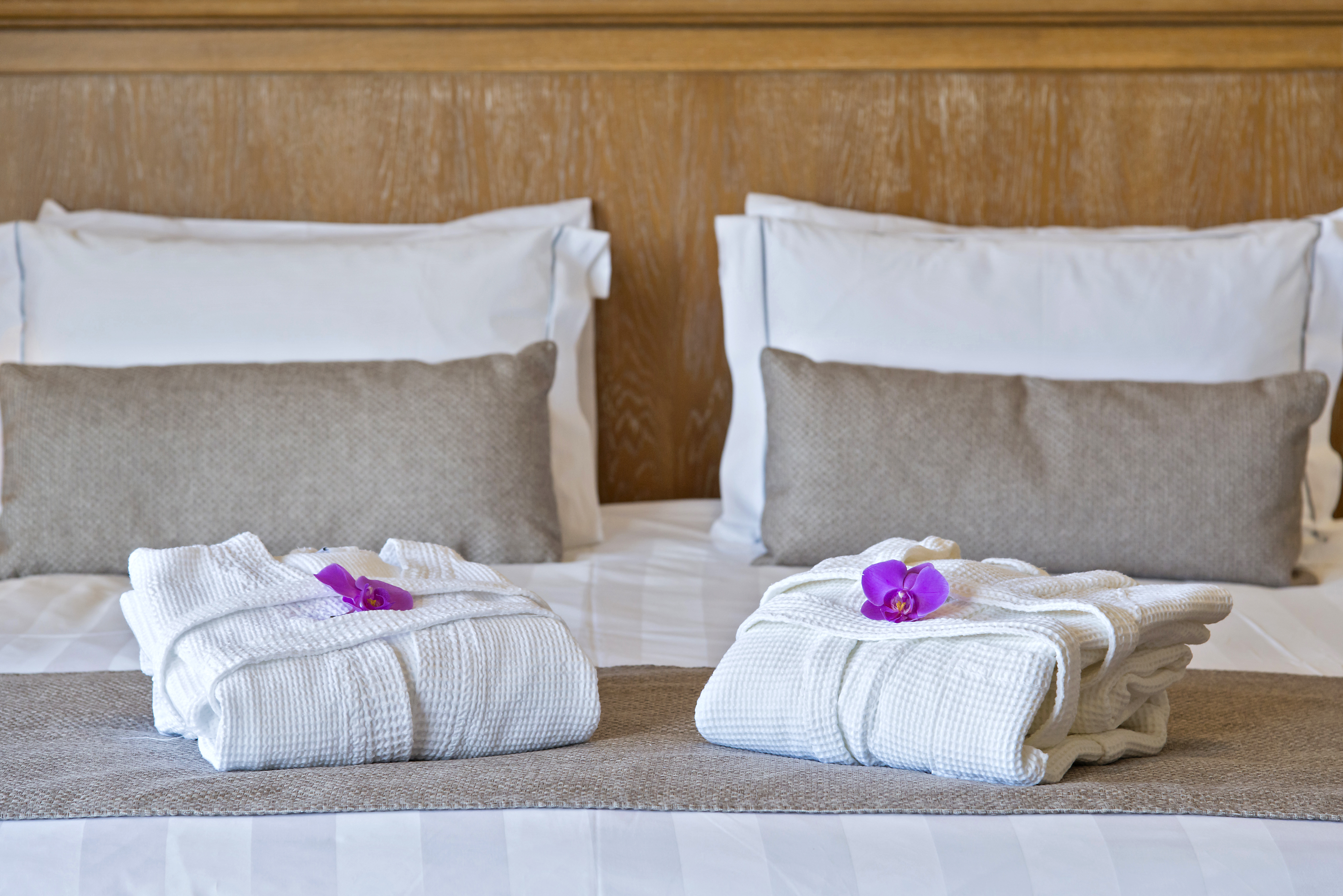 Junior Suite Park View