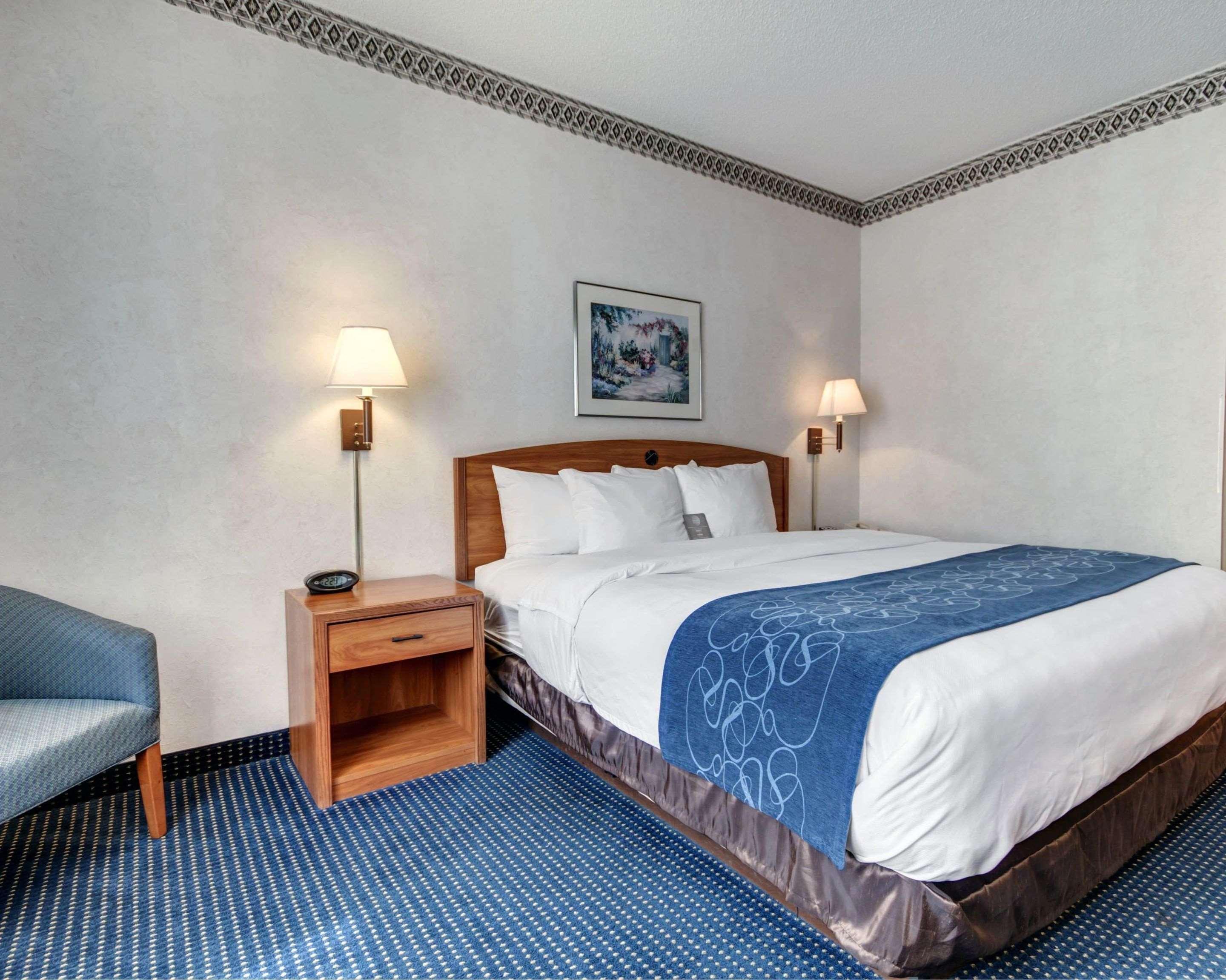 Double King Bed Non Smoking