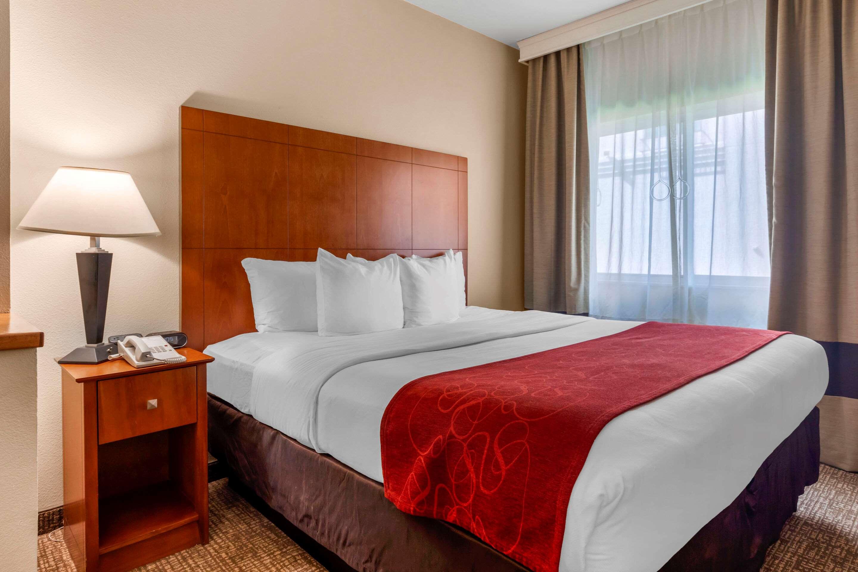 Suite King Bed Non Smoking