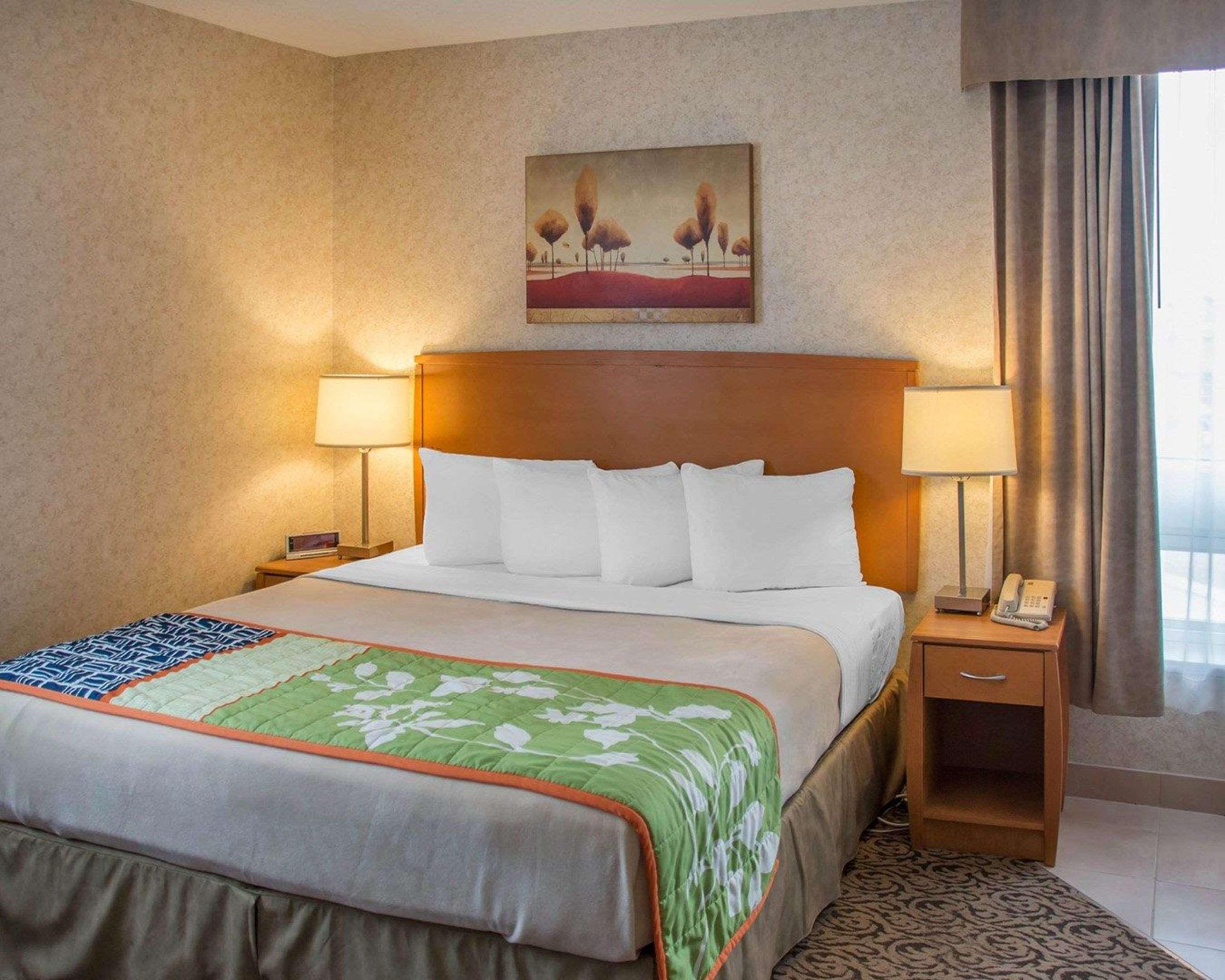 Suite King Bed Non Smoking