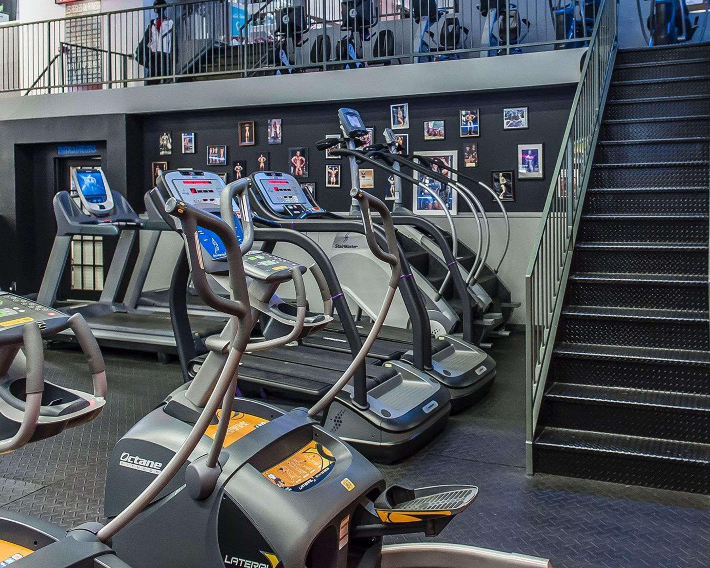 Double Two Double Beds Non Smoking