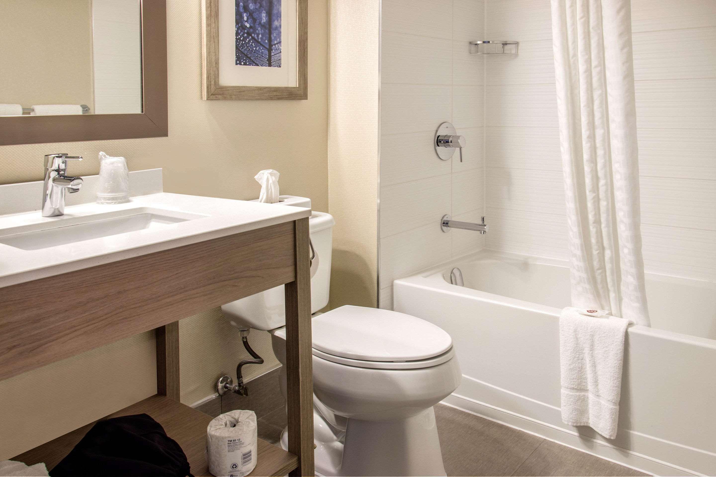 Double Two Queen Beds