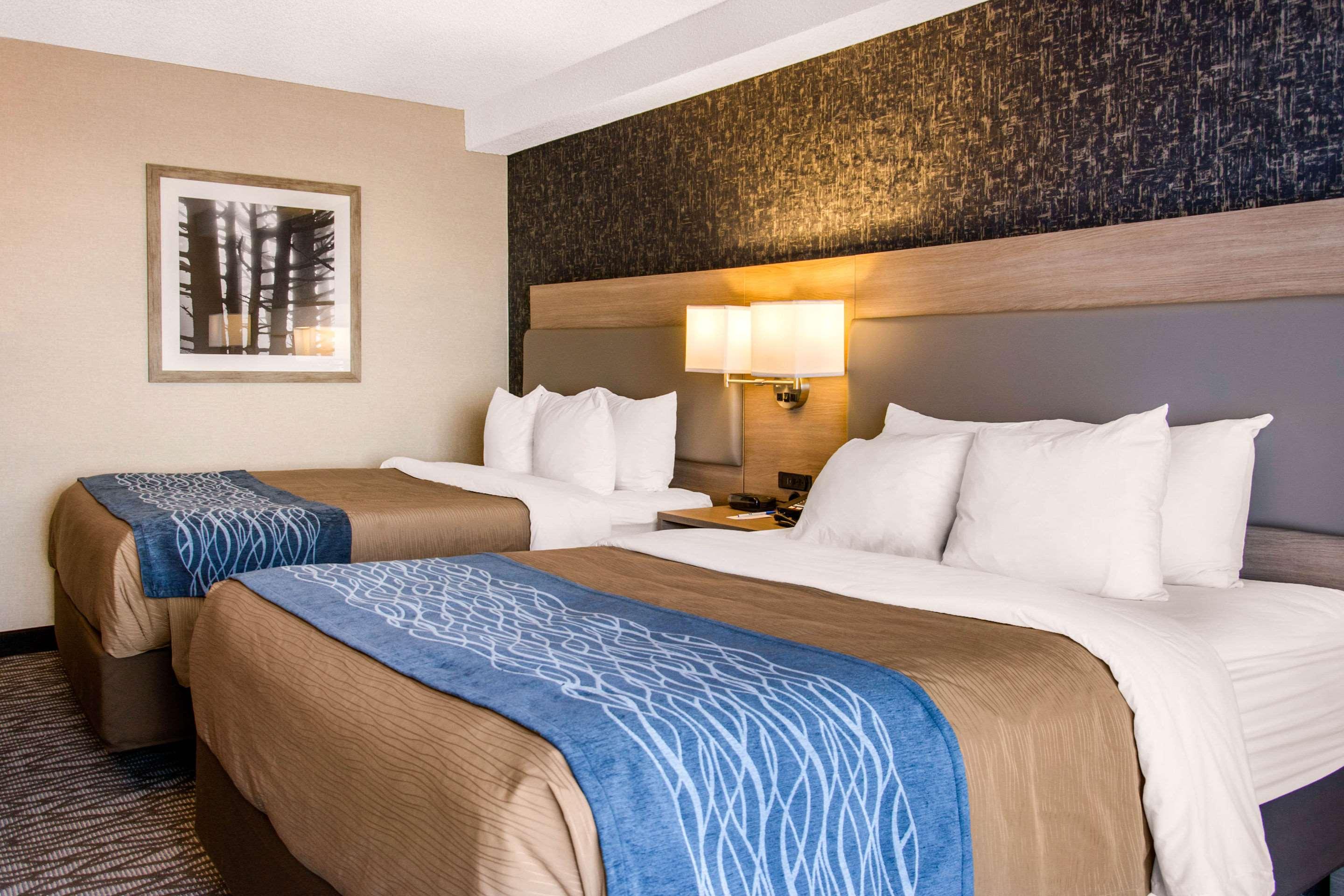 Quadruple Two Queen Beds