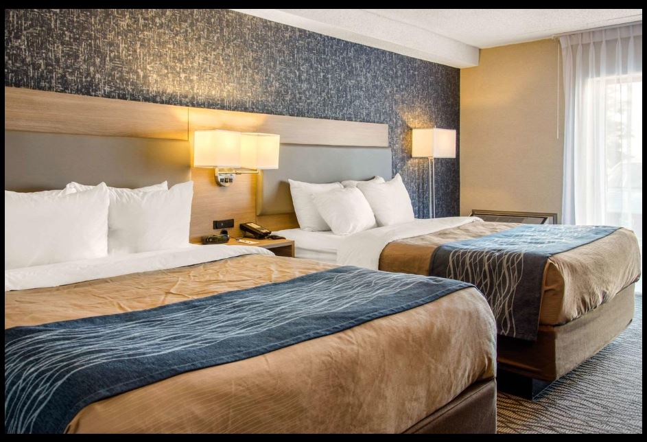 Quadruple Two Queen Beds