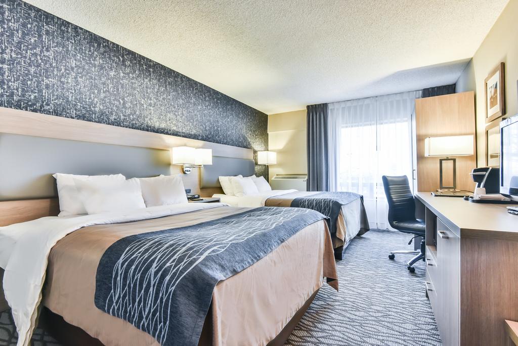 Double Two Queen Beds