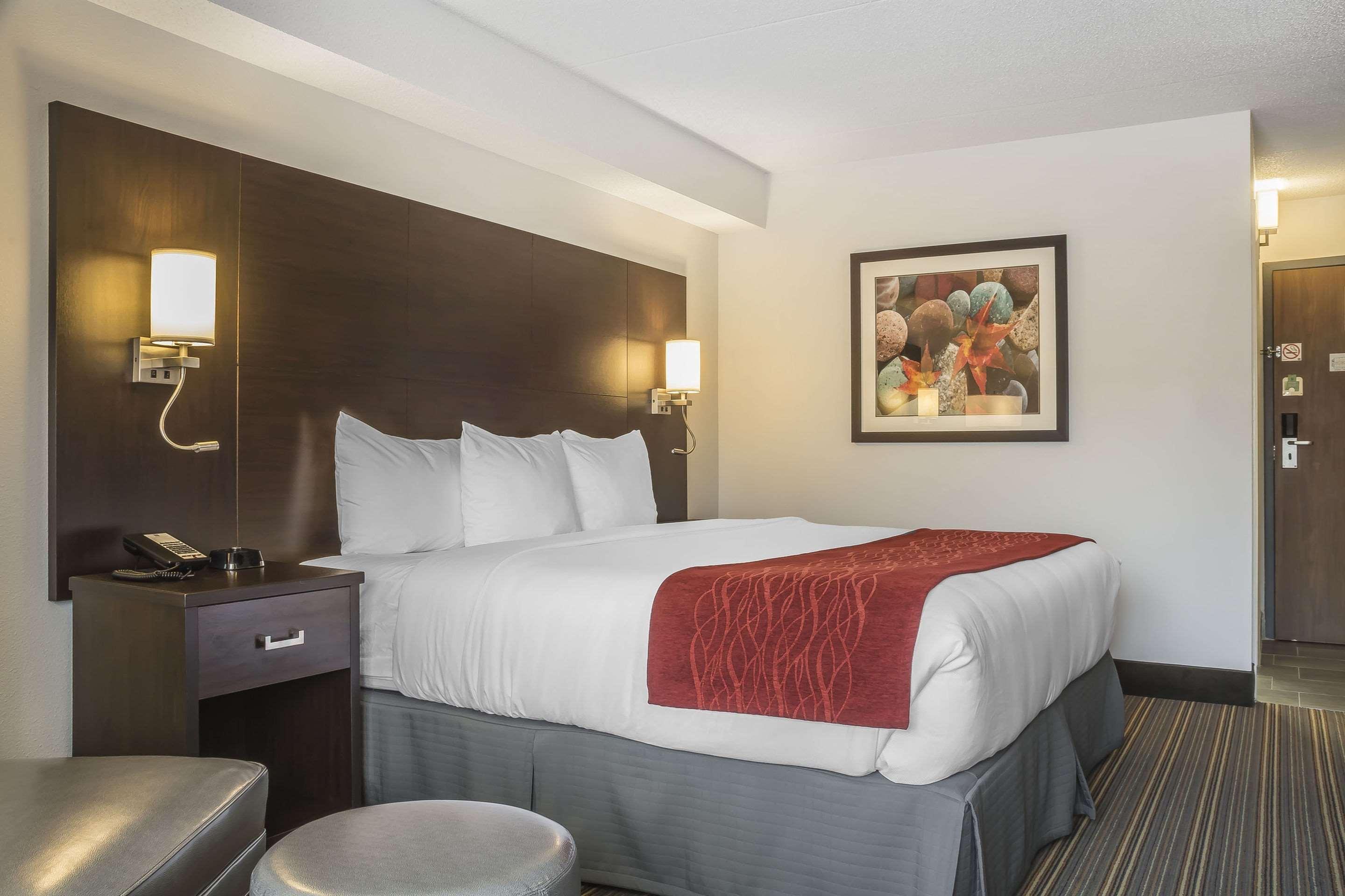 Double King Bed Non Smoking