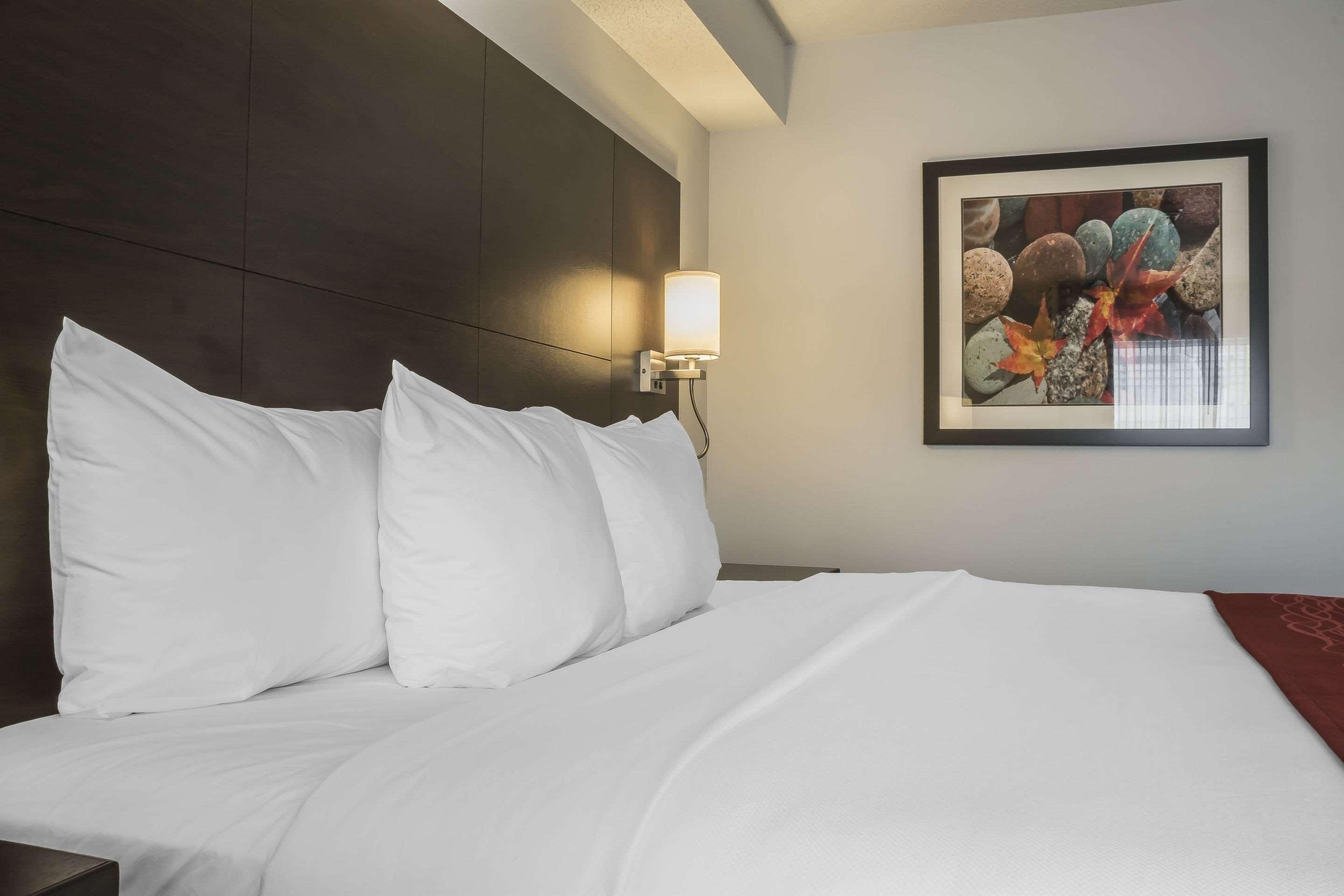 Double King Bed Non Smoking