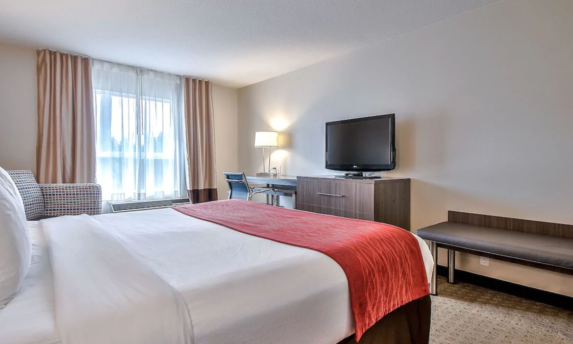 Suite King Bed Non Smoking