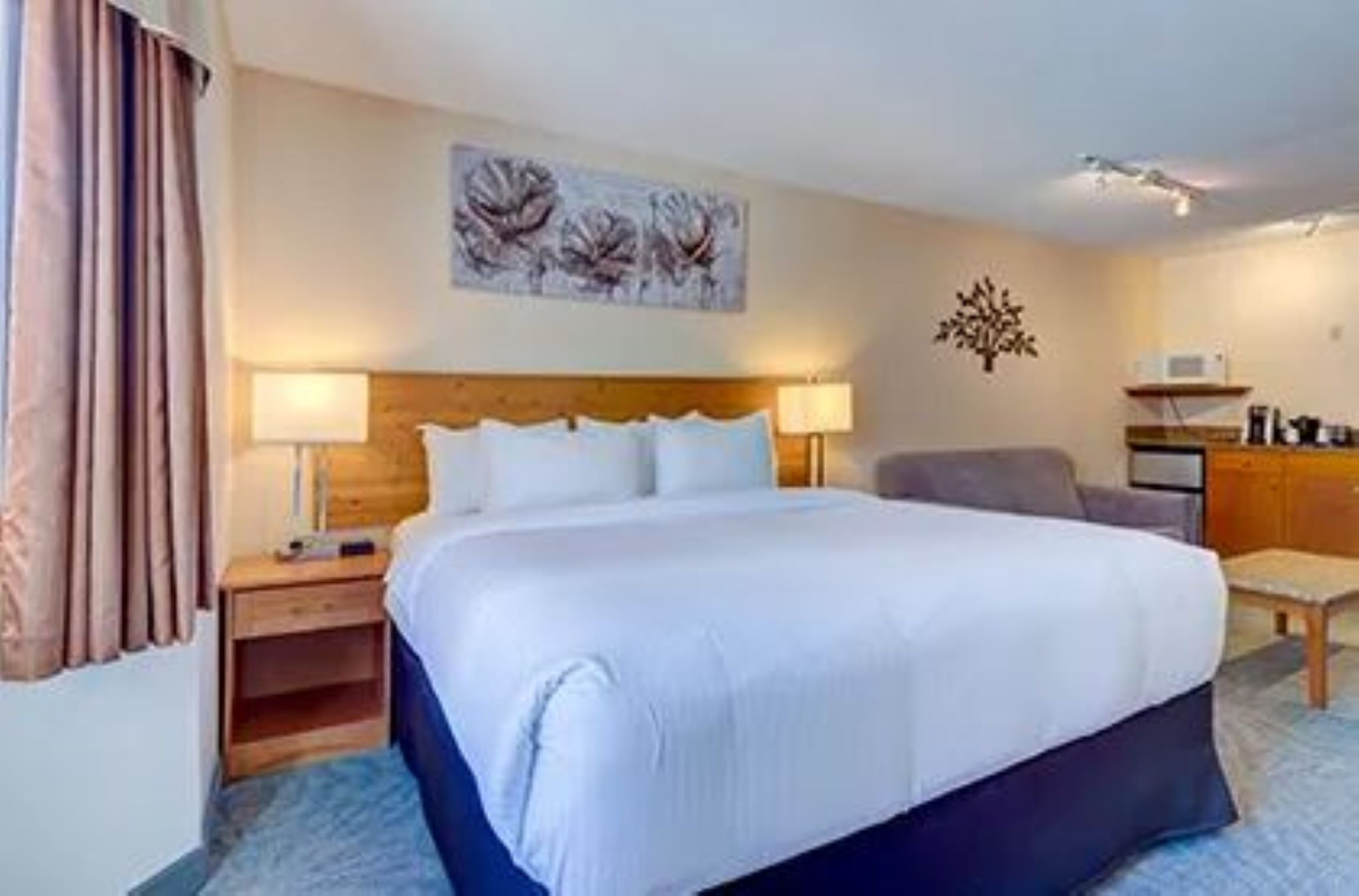 Suite King Bed Non Smoking