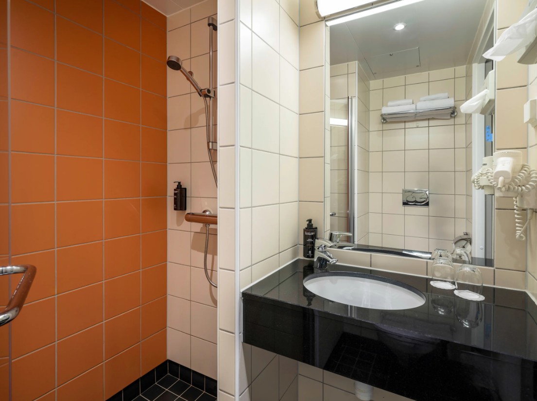 Double or Twin Economy