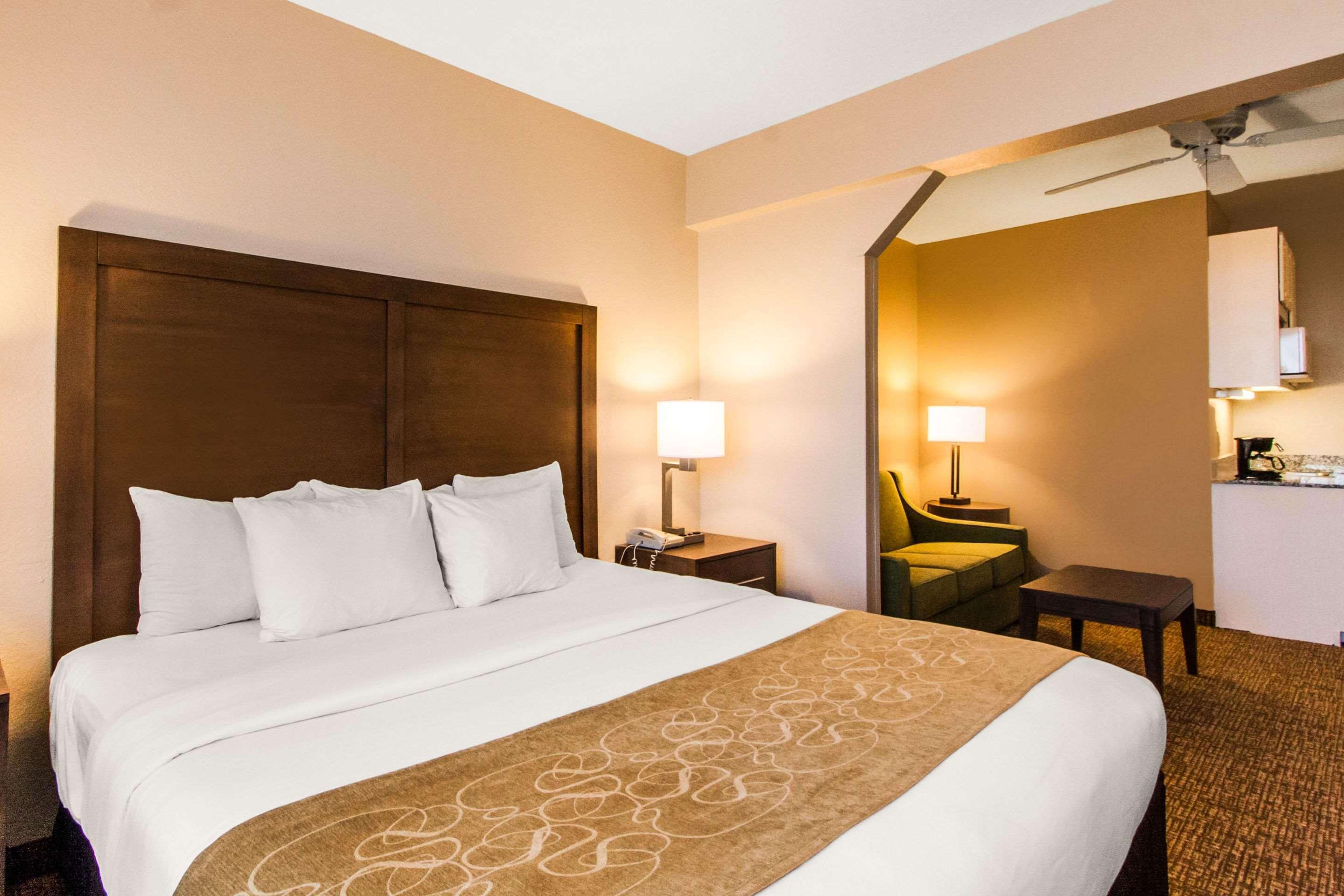 Suite King Bed Non Smoking