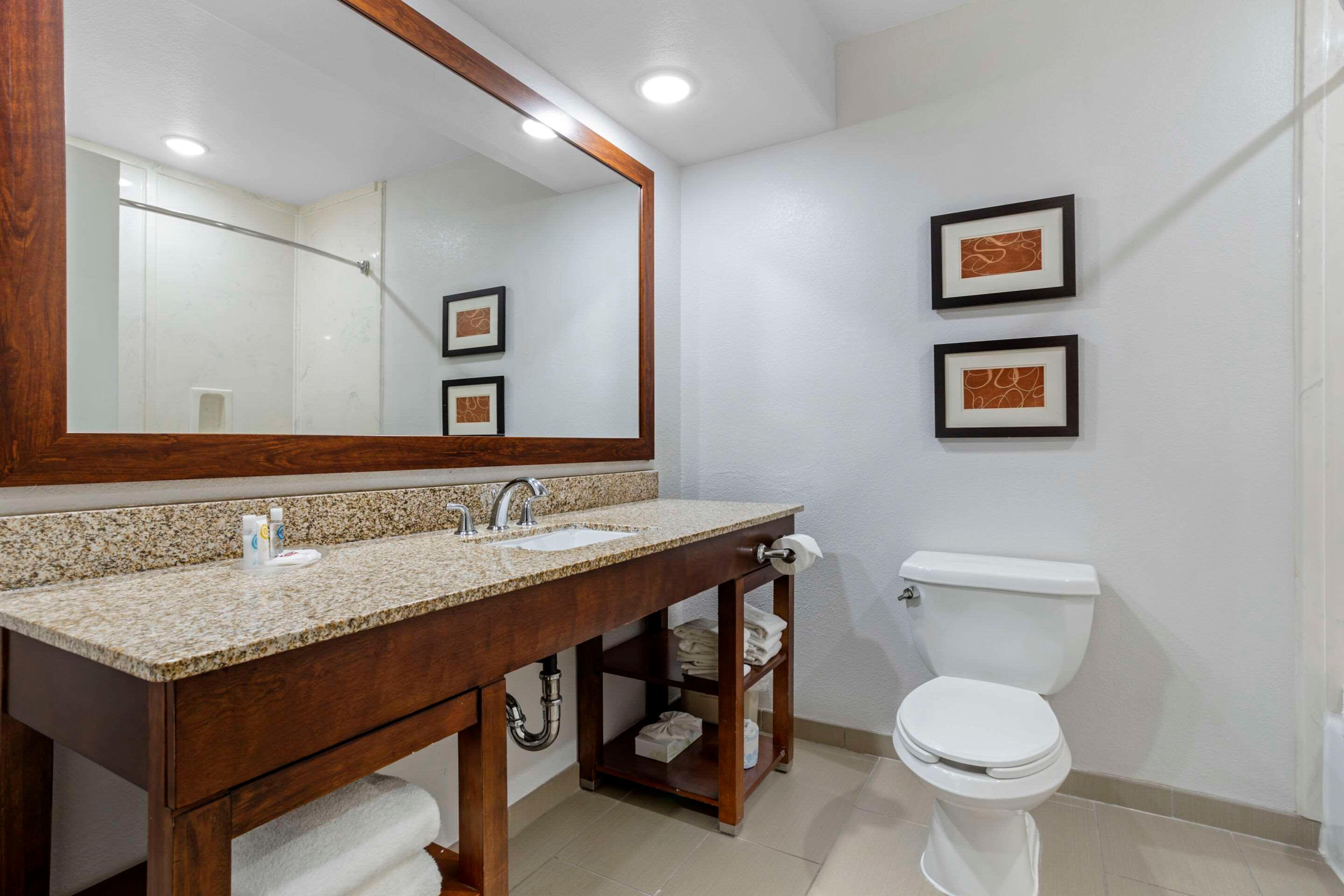 Suite King Bed Non Smoking