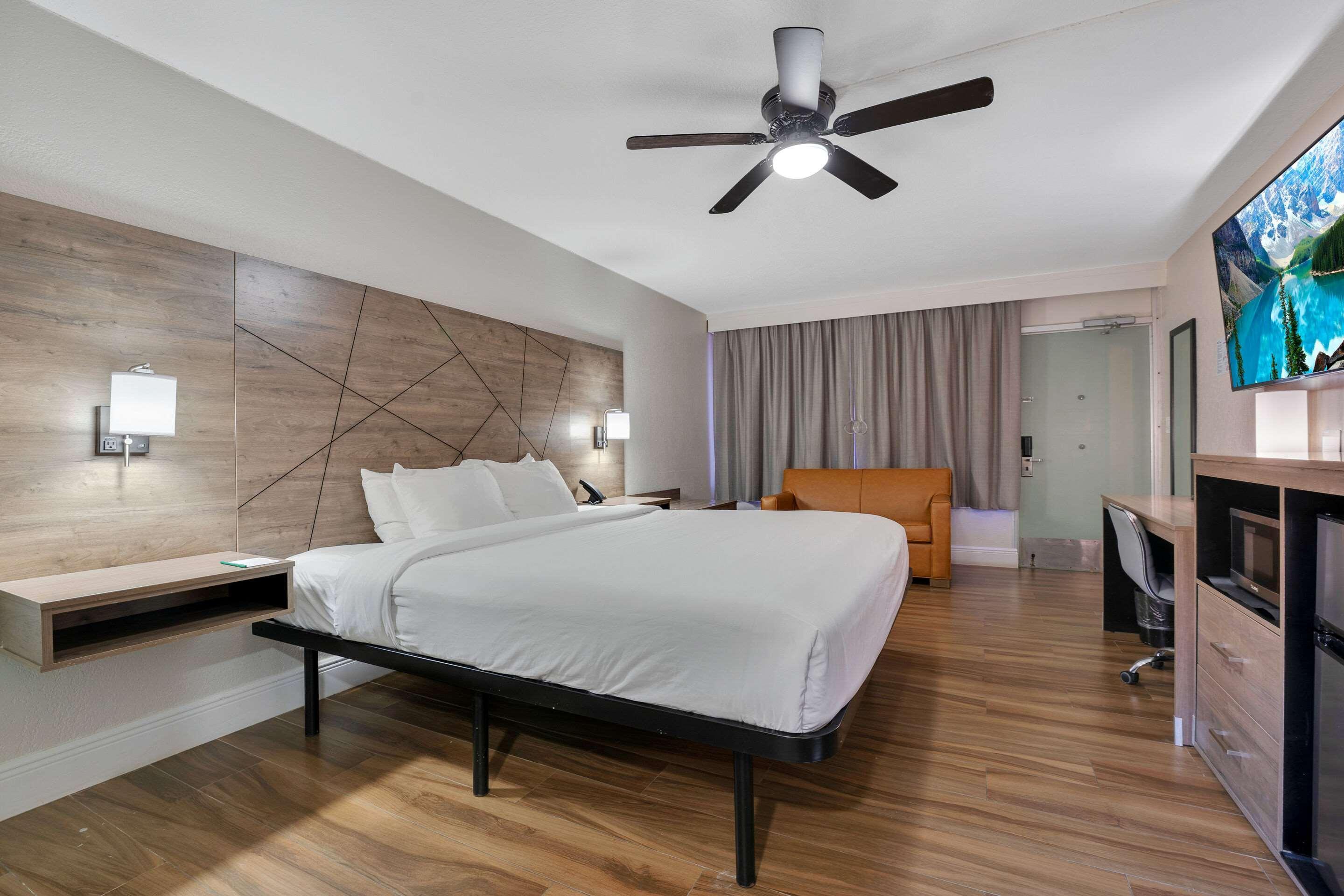 Double King Bed Non Smoking