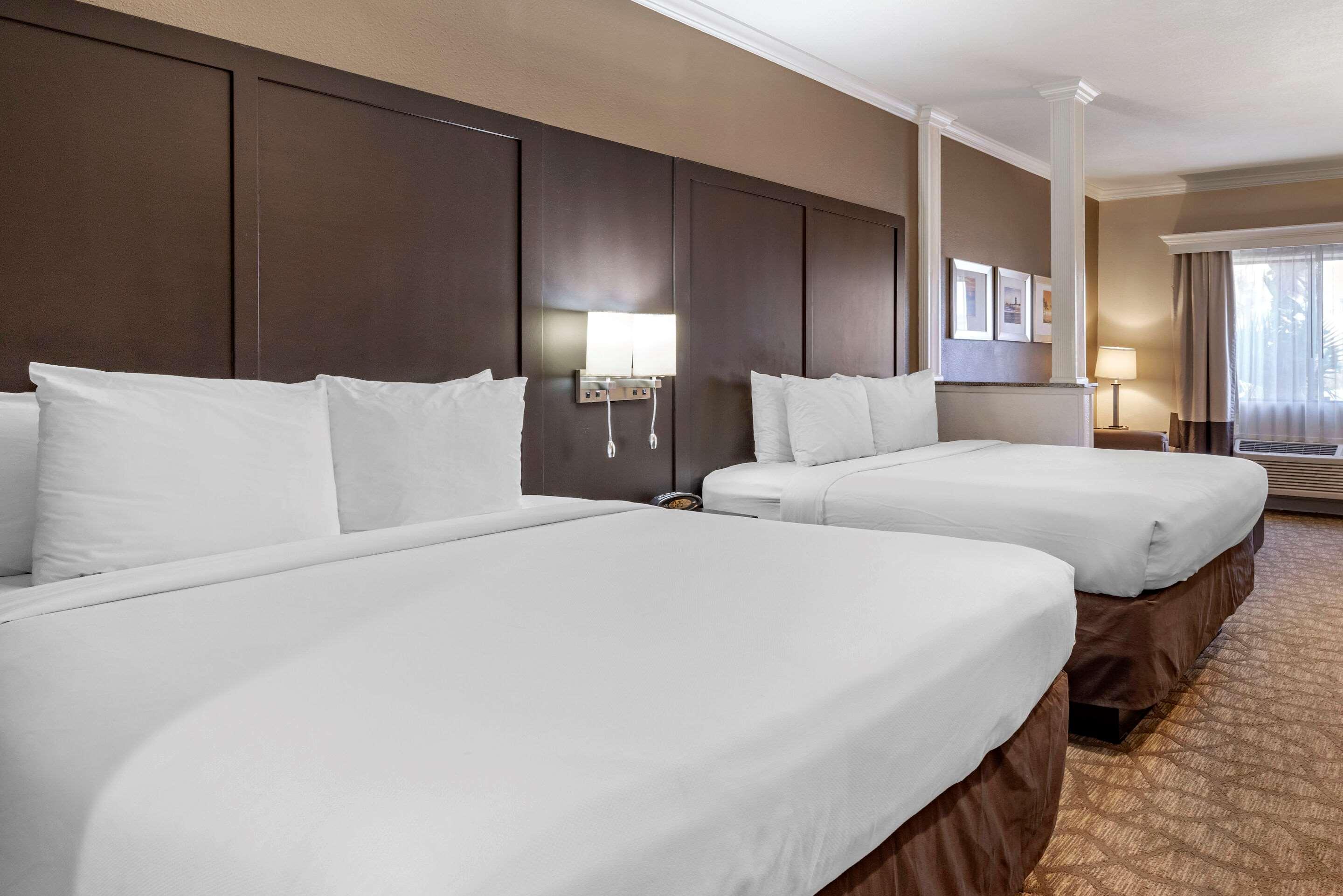 Suite Two Queen Beds Non Smoking