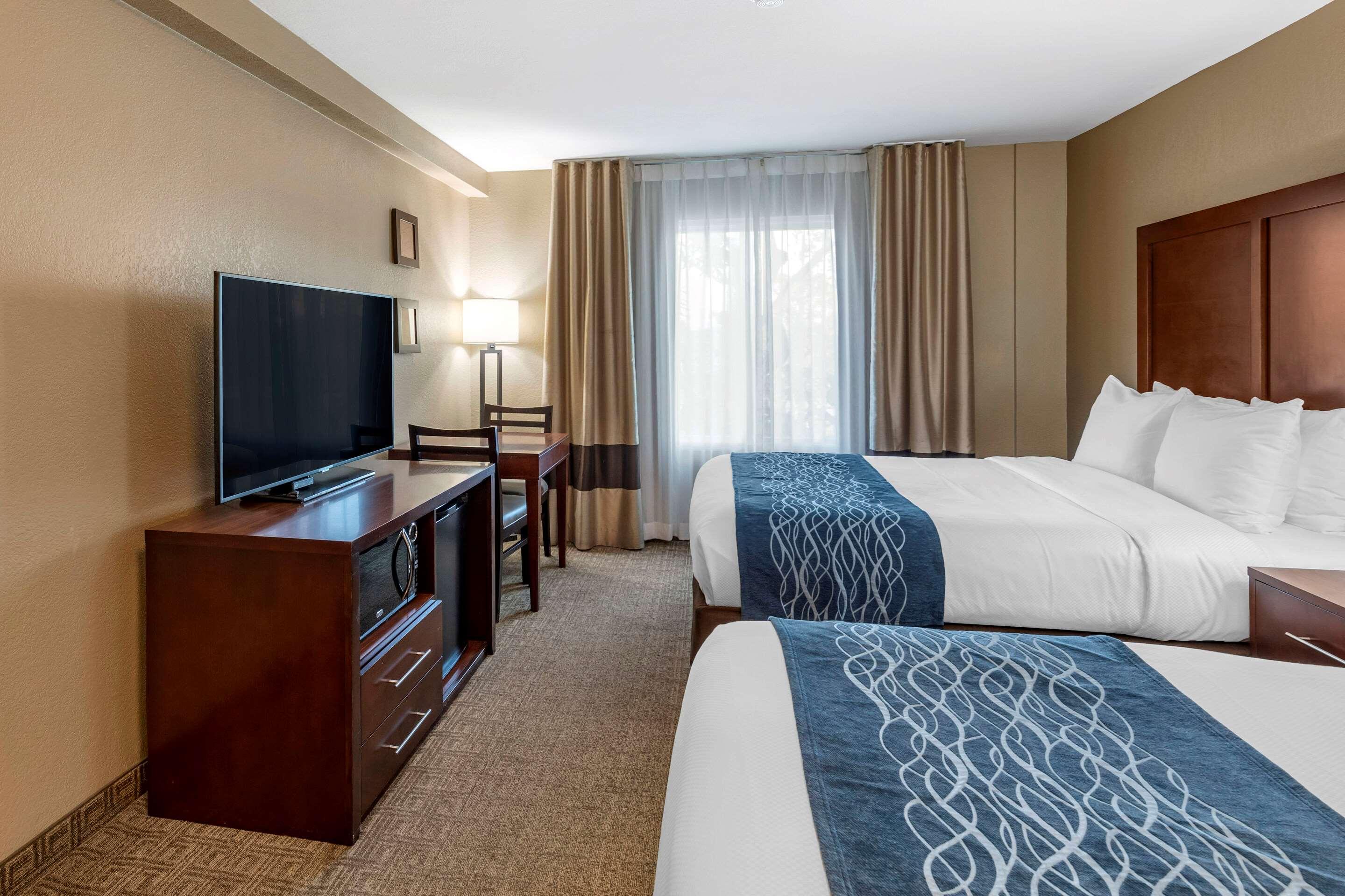 Double Two Queen Beds